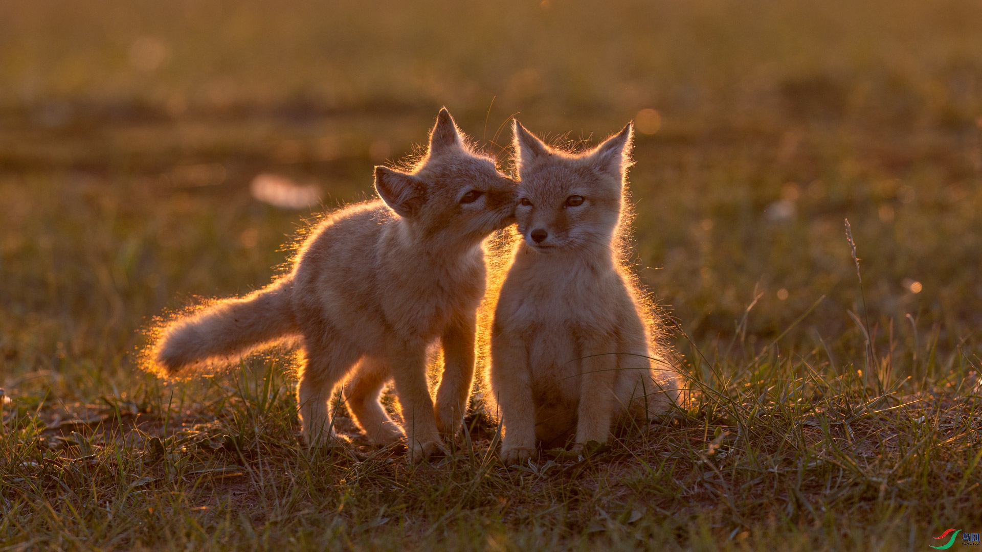 t_100519-�༭.jpg