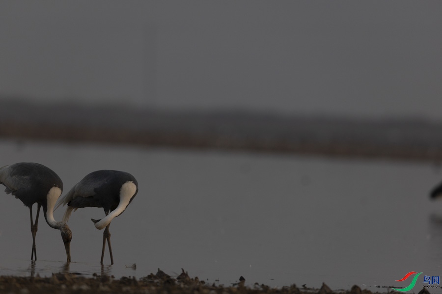 A_155.jpg