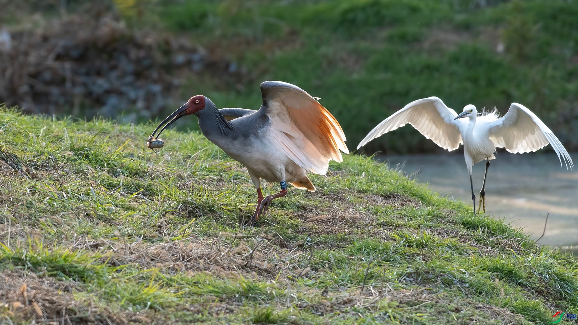 _DSC6782 ����.jpg