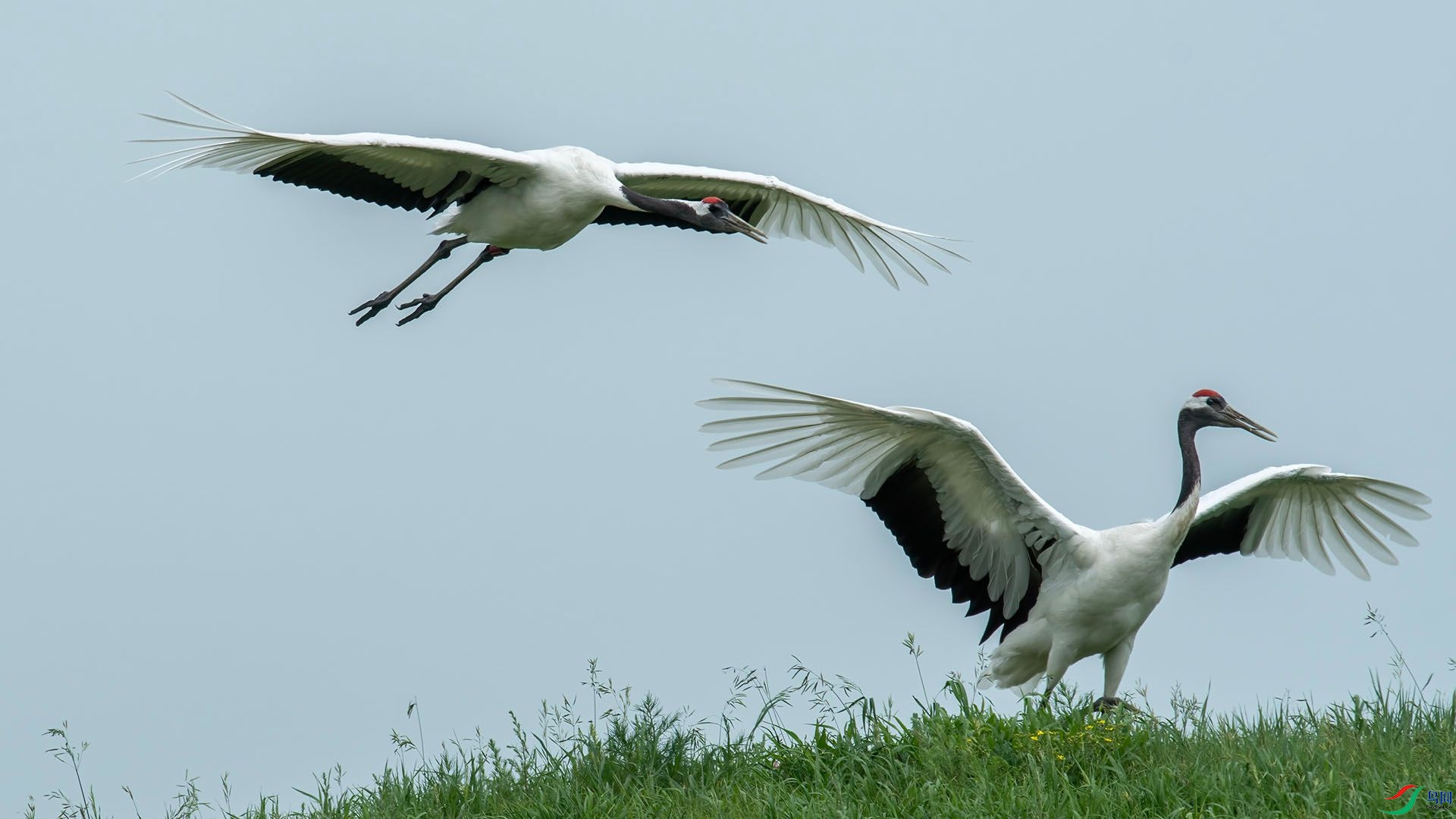 _DSC0512 ����.jpg