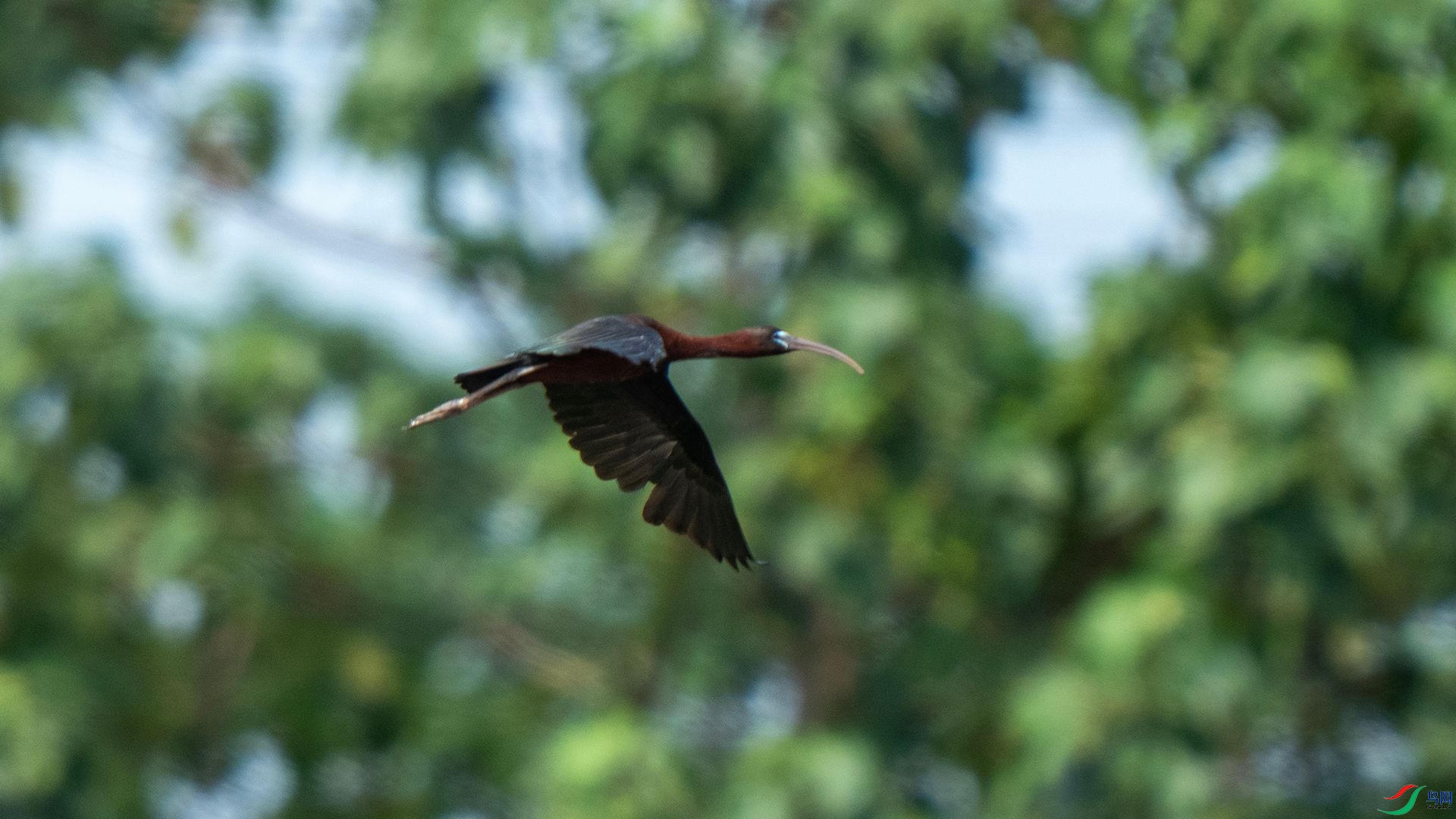 DSC07734 ����.jpg