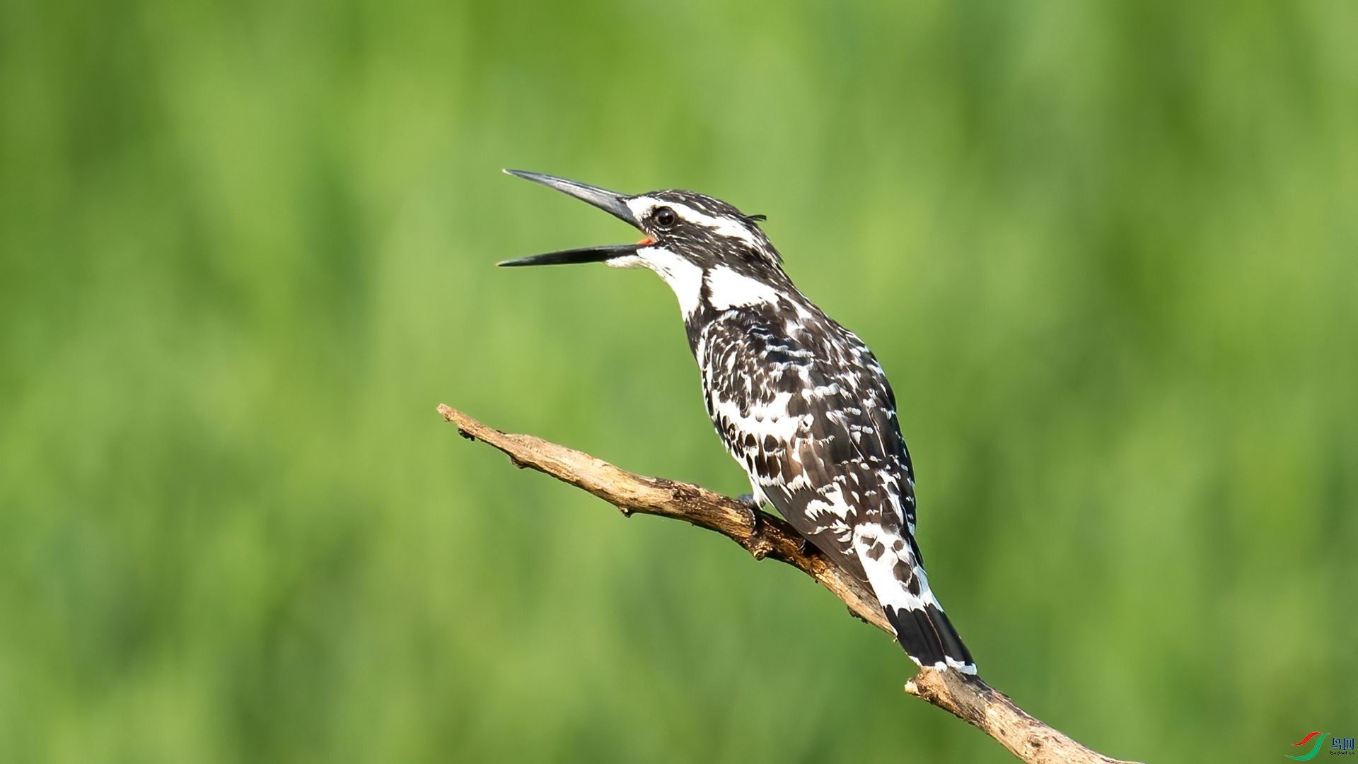 _DSC0281 ����.jpg