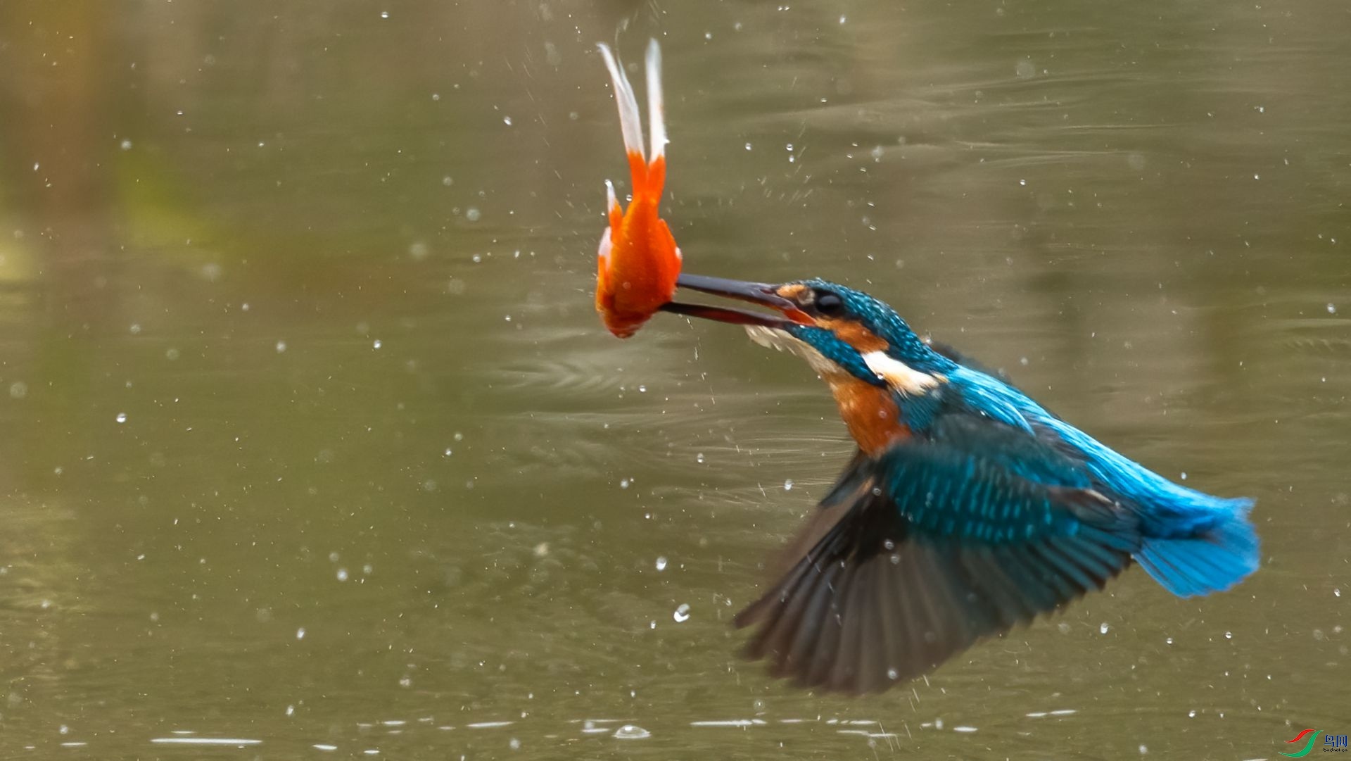 _DSC9138 ����.jpg