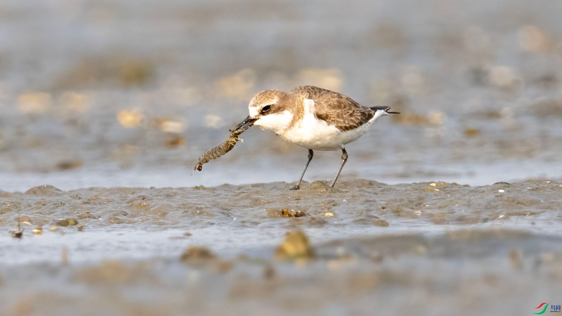 _DSC7575 ����.jpg