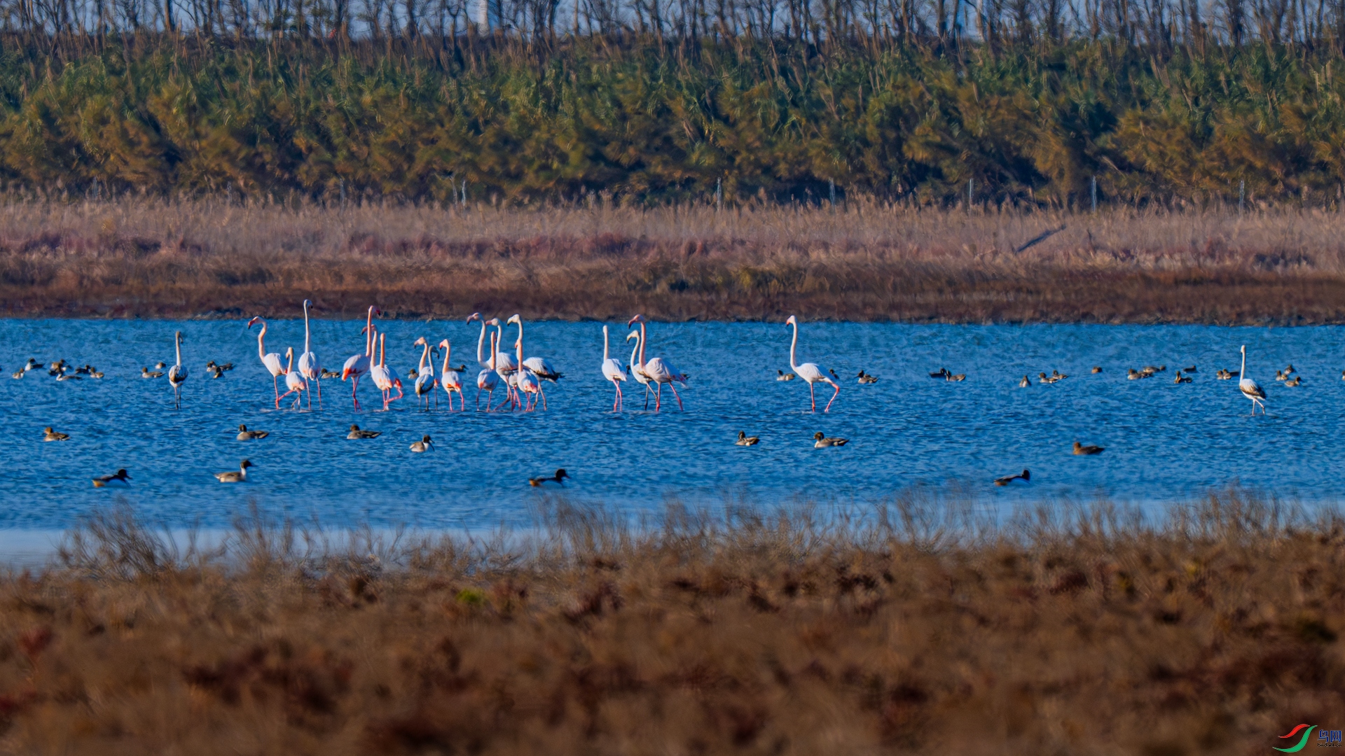 DSC_1211 ����_����.jpg