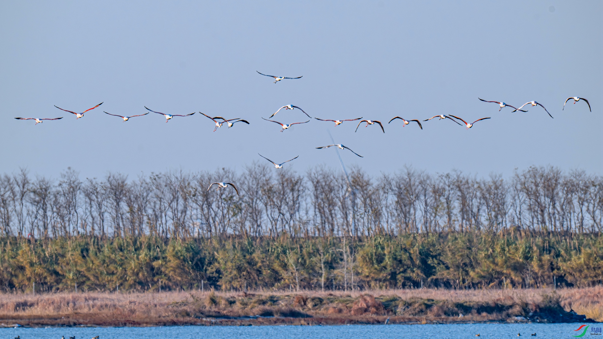 DSC_1675 ����_����.jpg