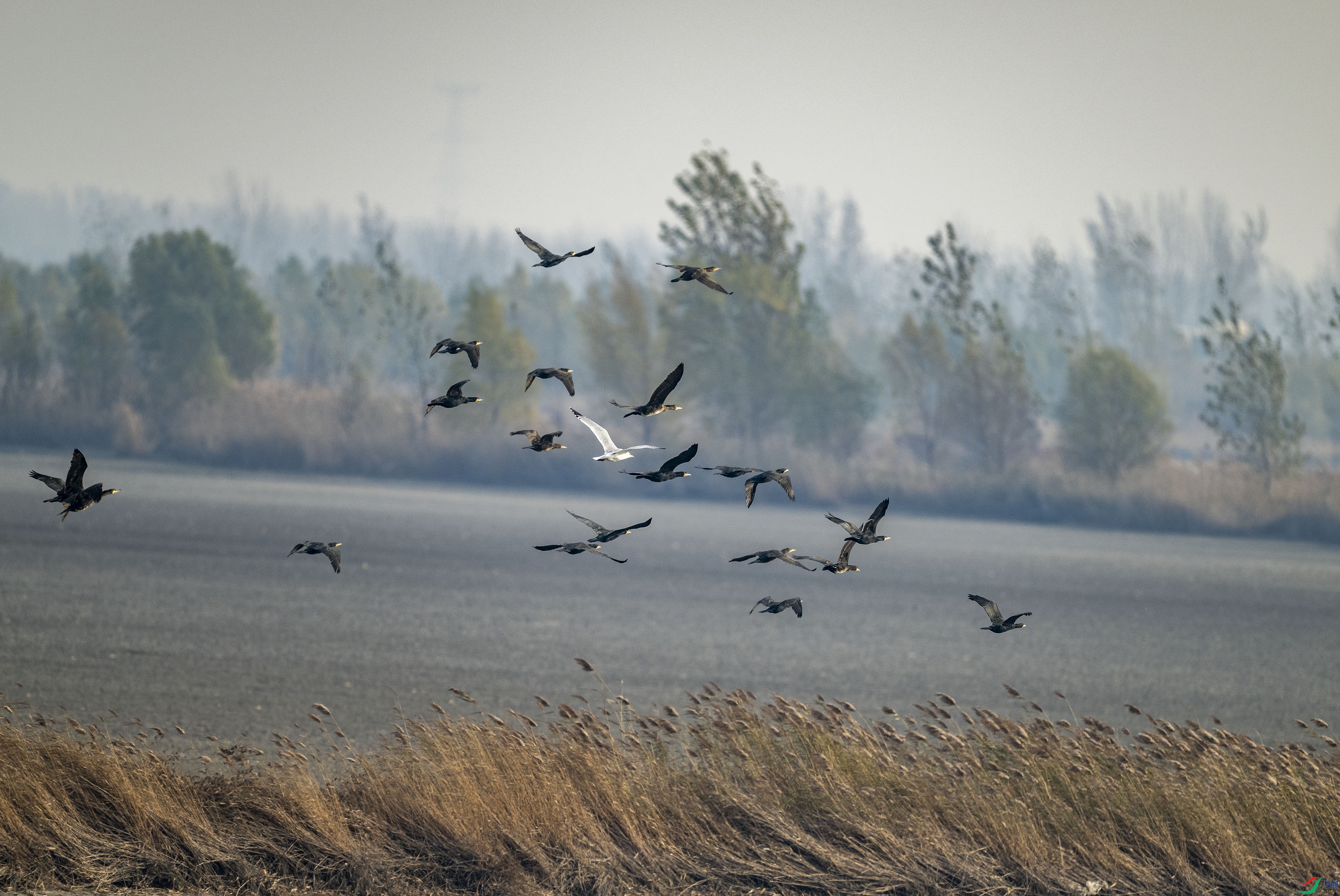 DSC_0884.jpg