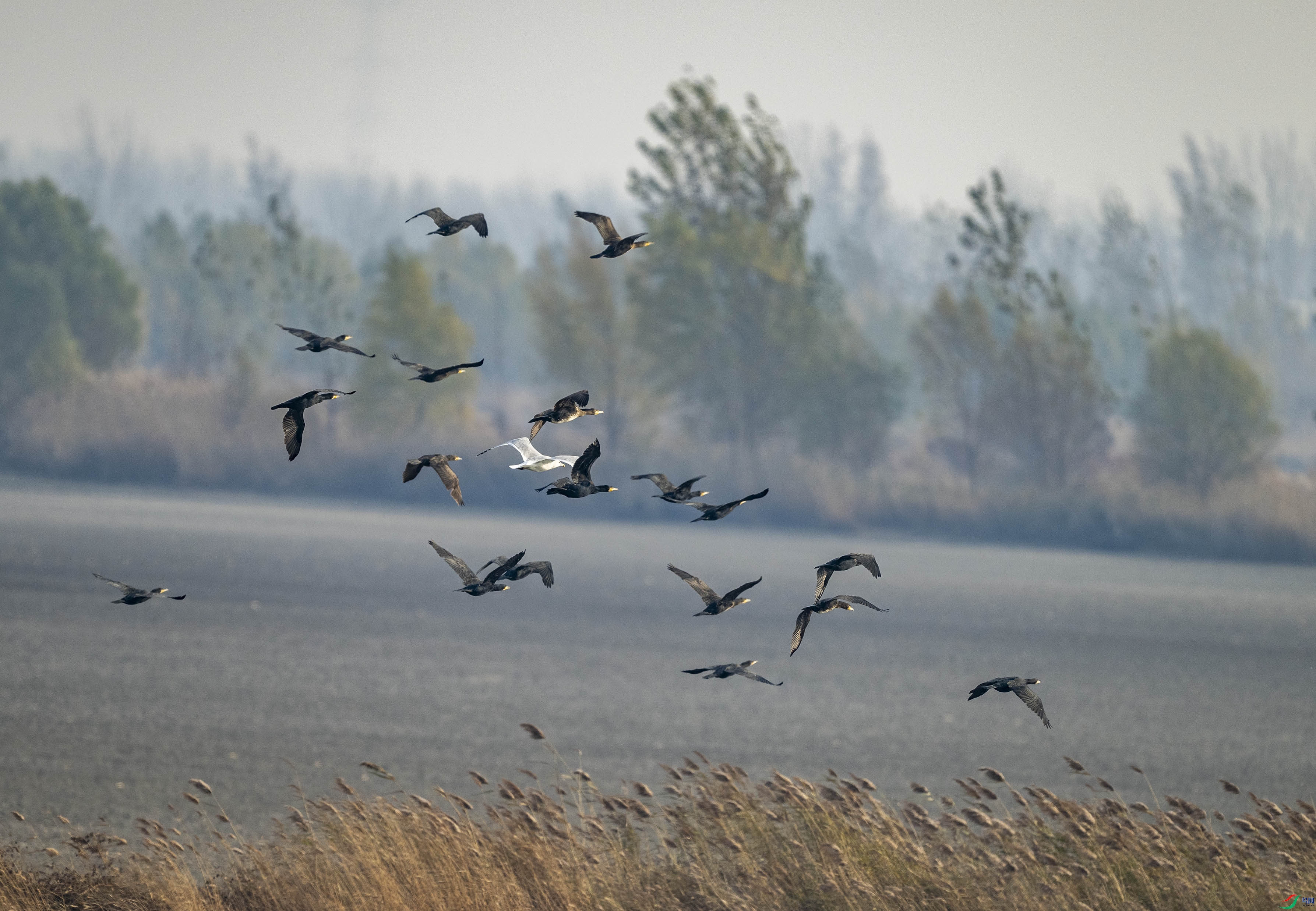 DSC_0883.jpg