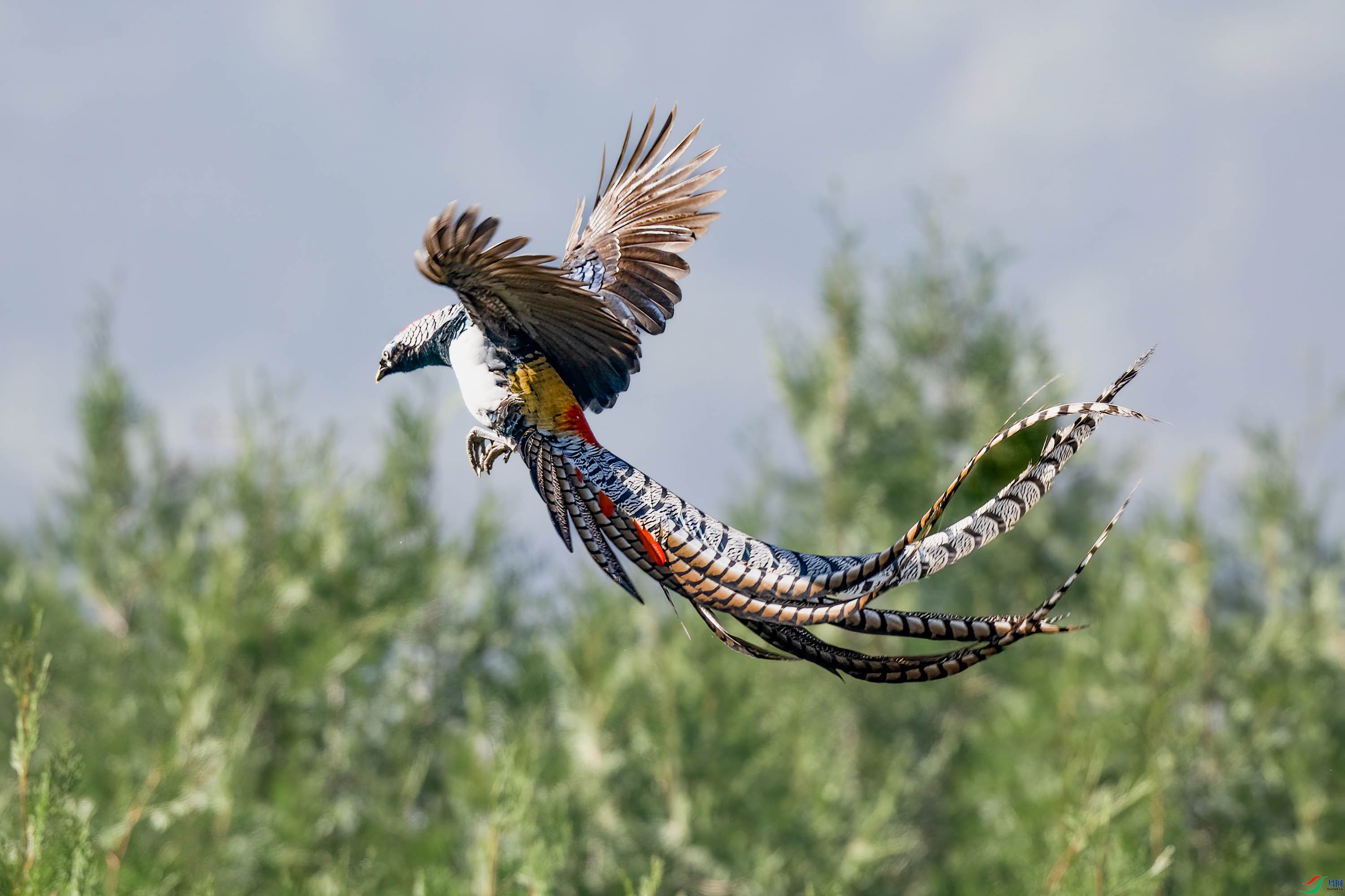 DSC_1753 ����.jpg