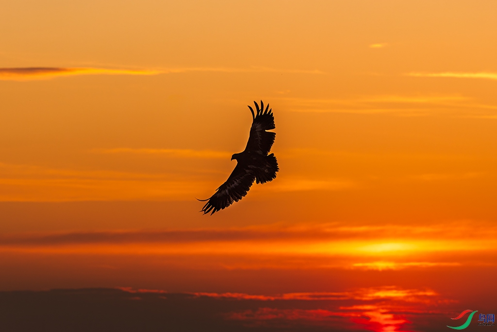 jlcyR230606 (98).jpg