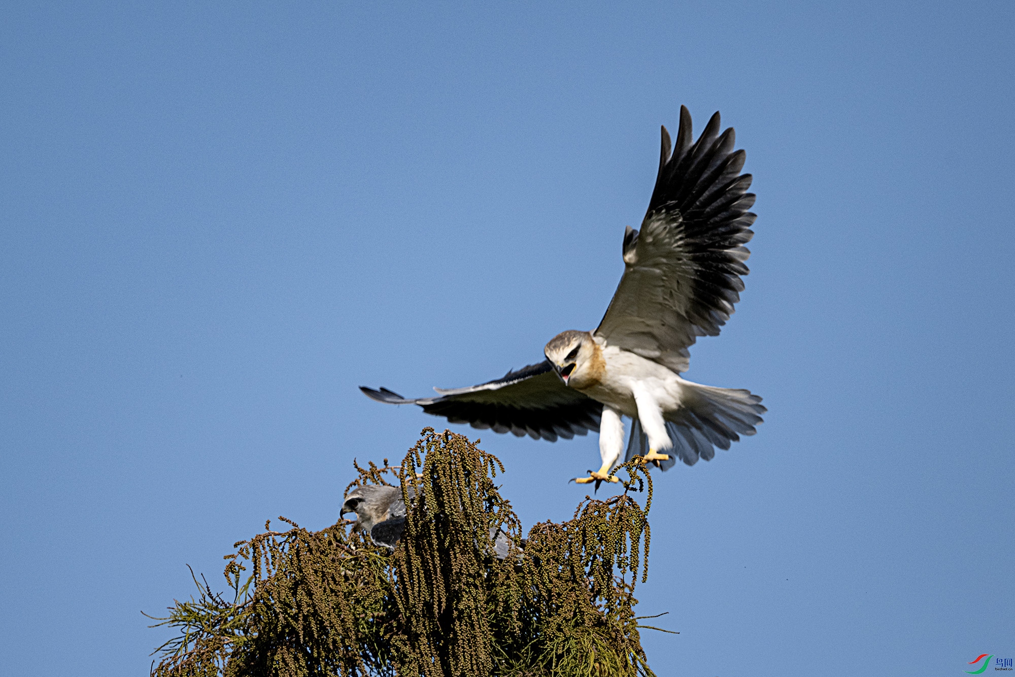 DSC_2025.jpg