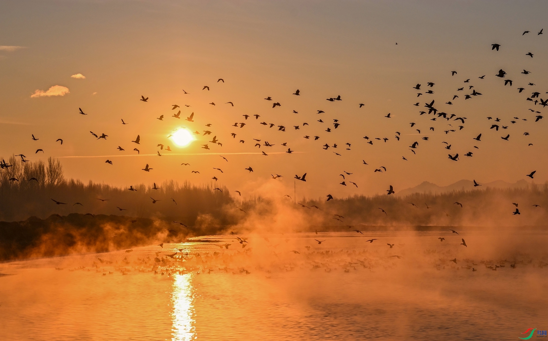 ����Ѽ��