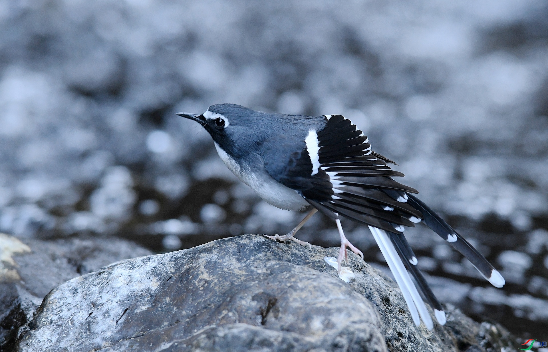 DSC_4952.jpg