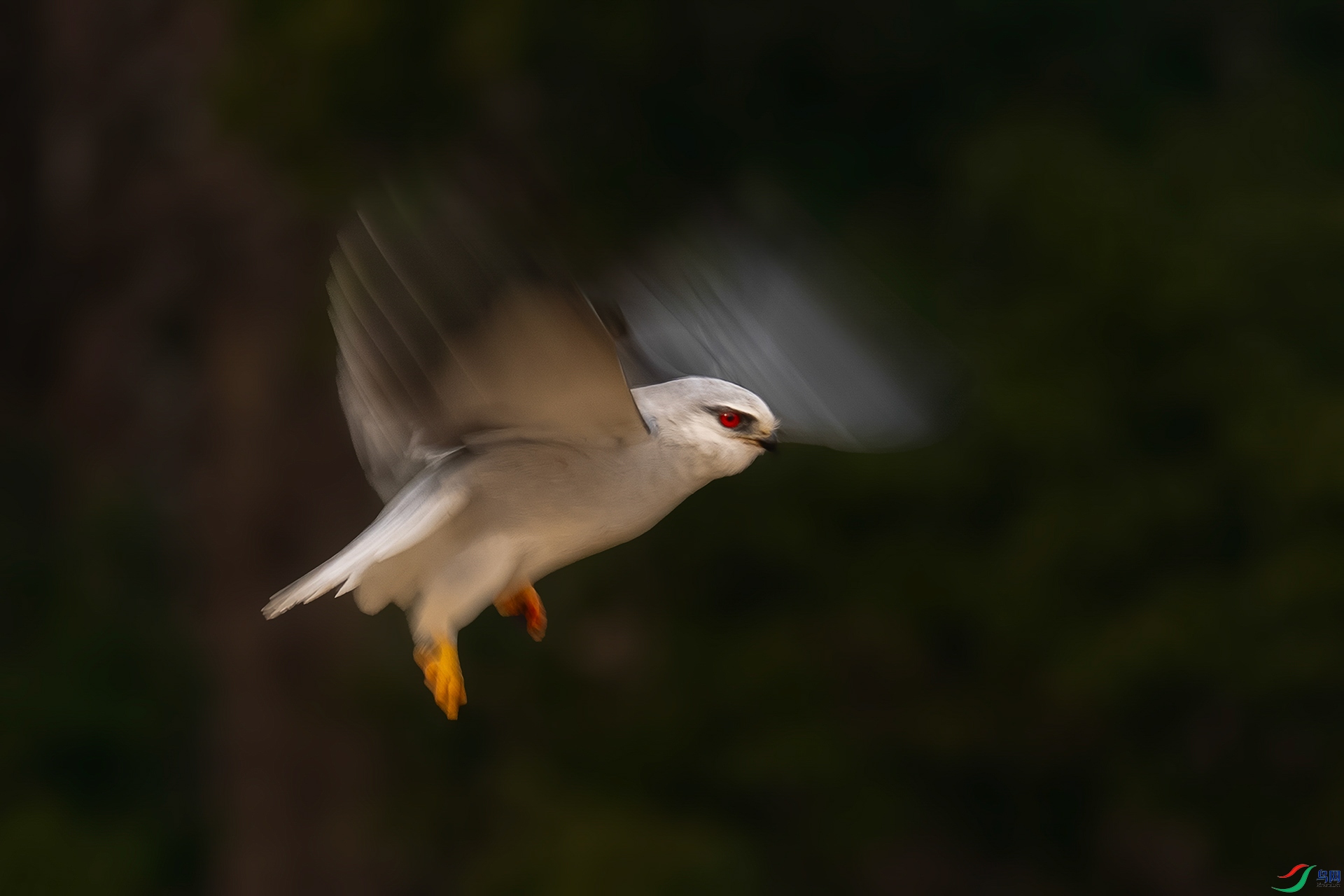 �ڳ��