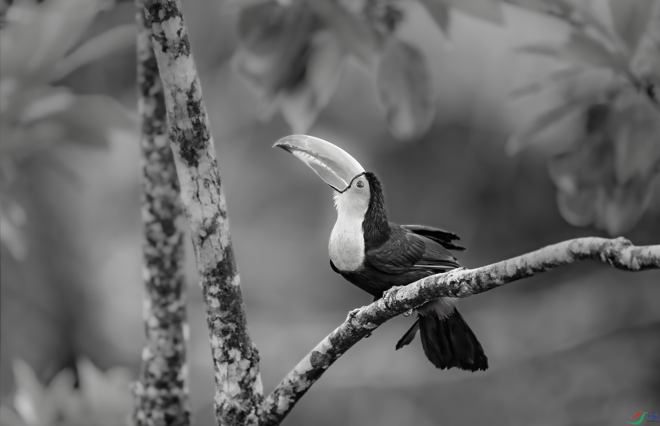 DSC_9277.jpg