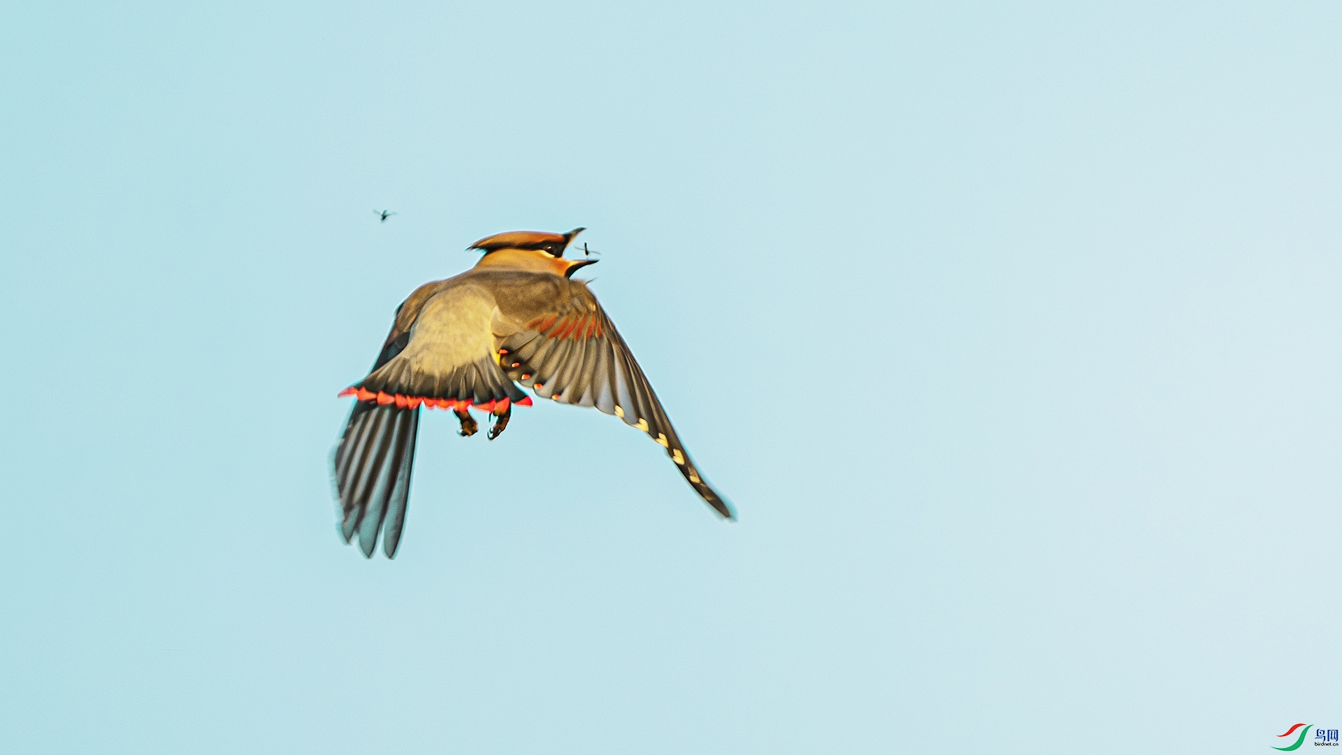 DSC_0016-����ǿ-NR ����.jpg