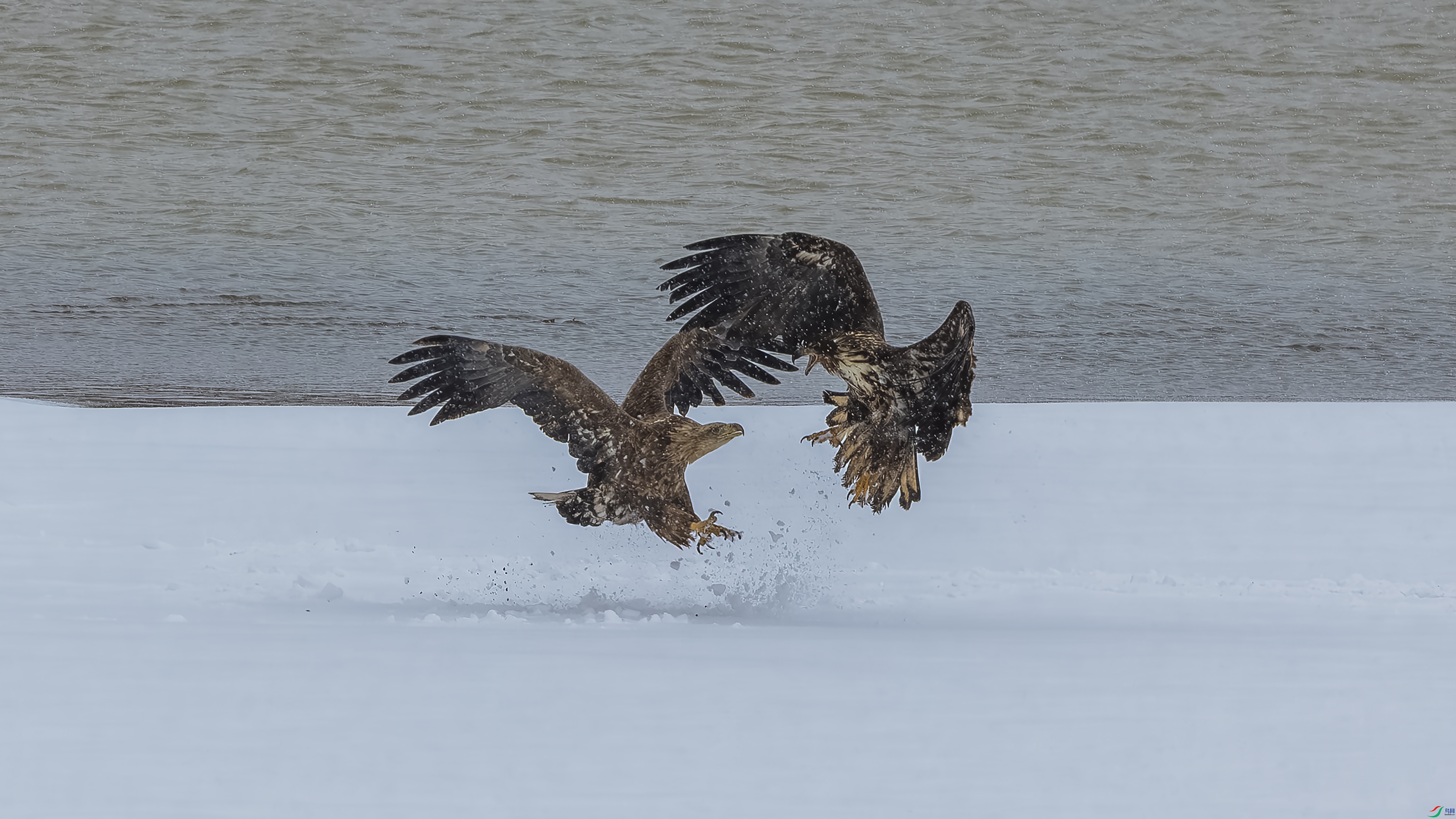 _O7A6905-44445.jpg