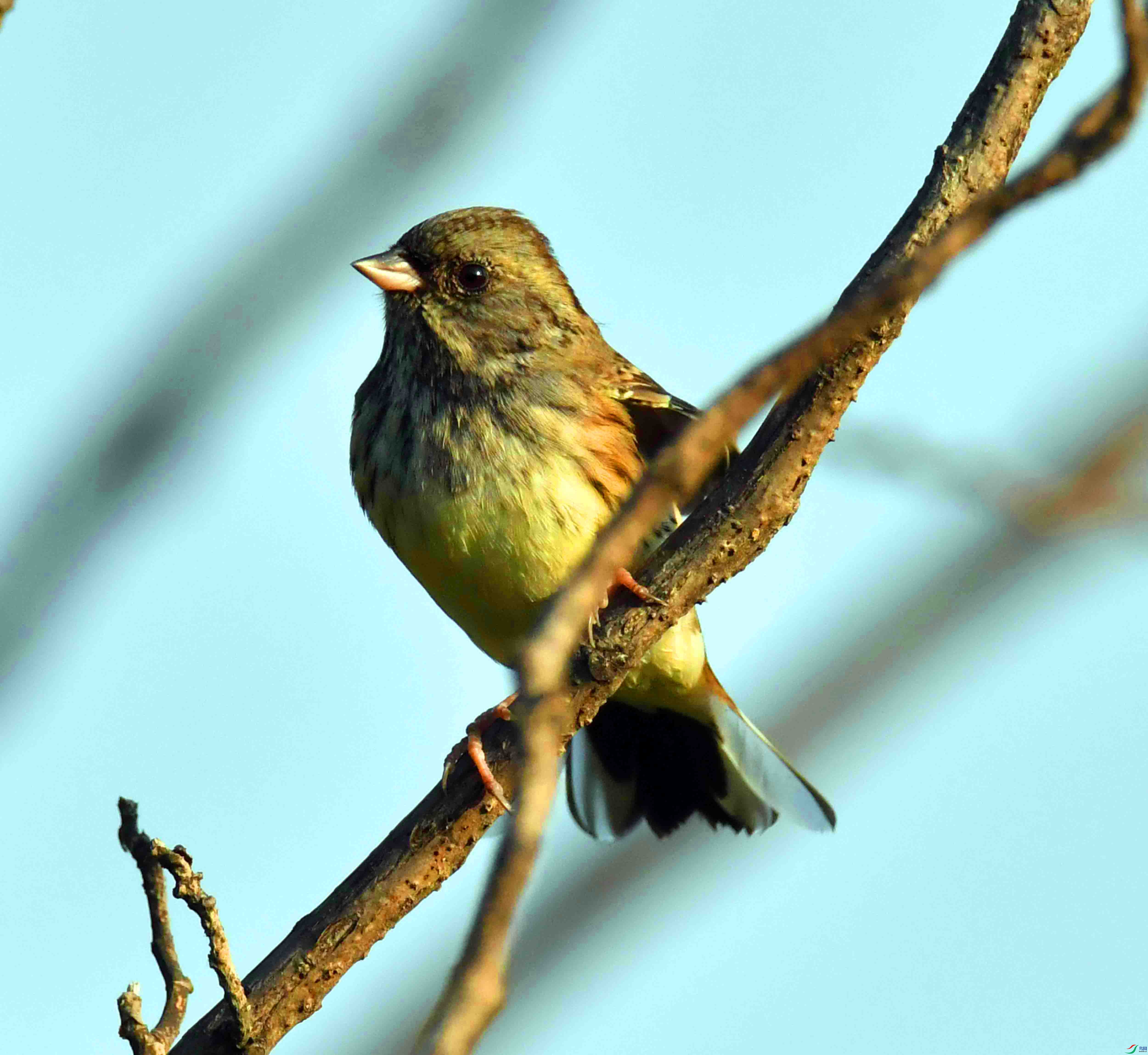 DSC_7290.JPG