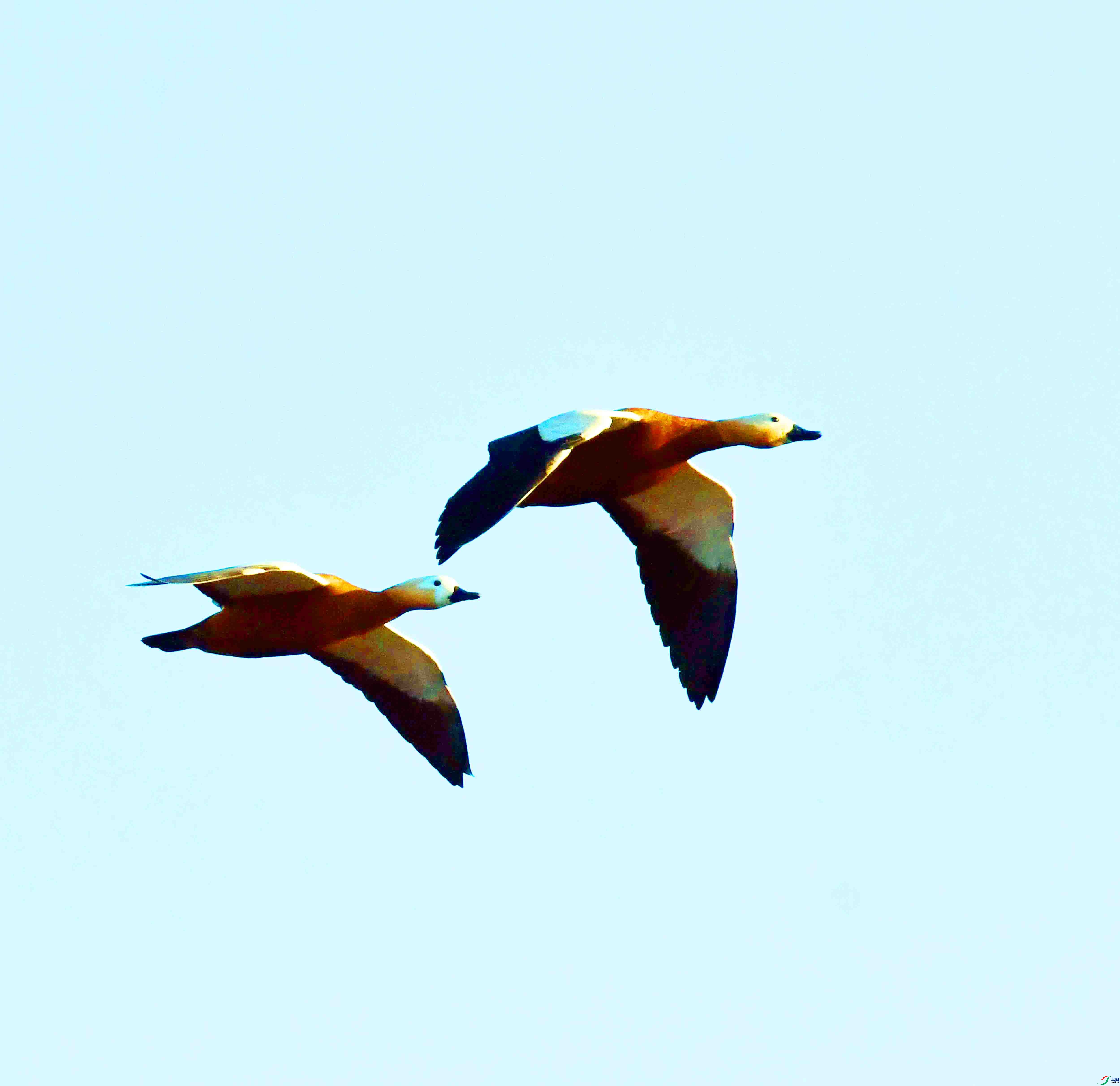 DSC_2926.JPG