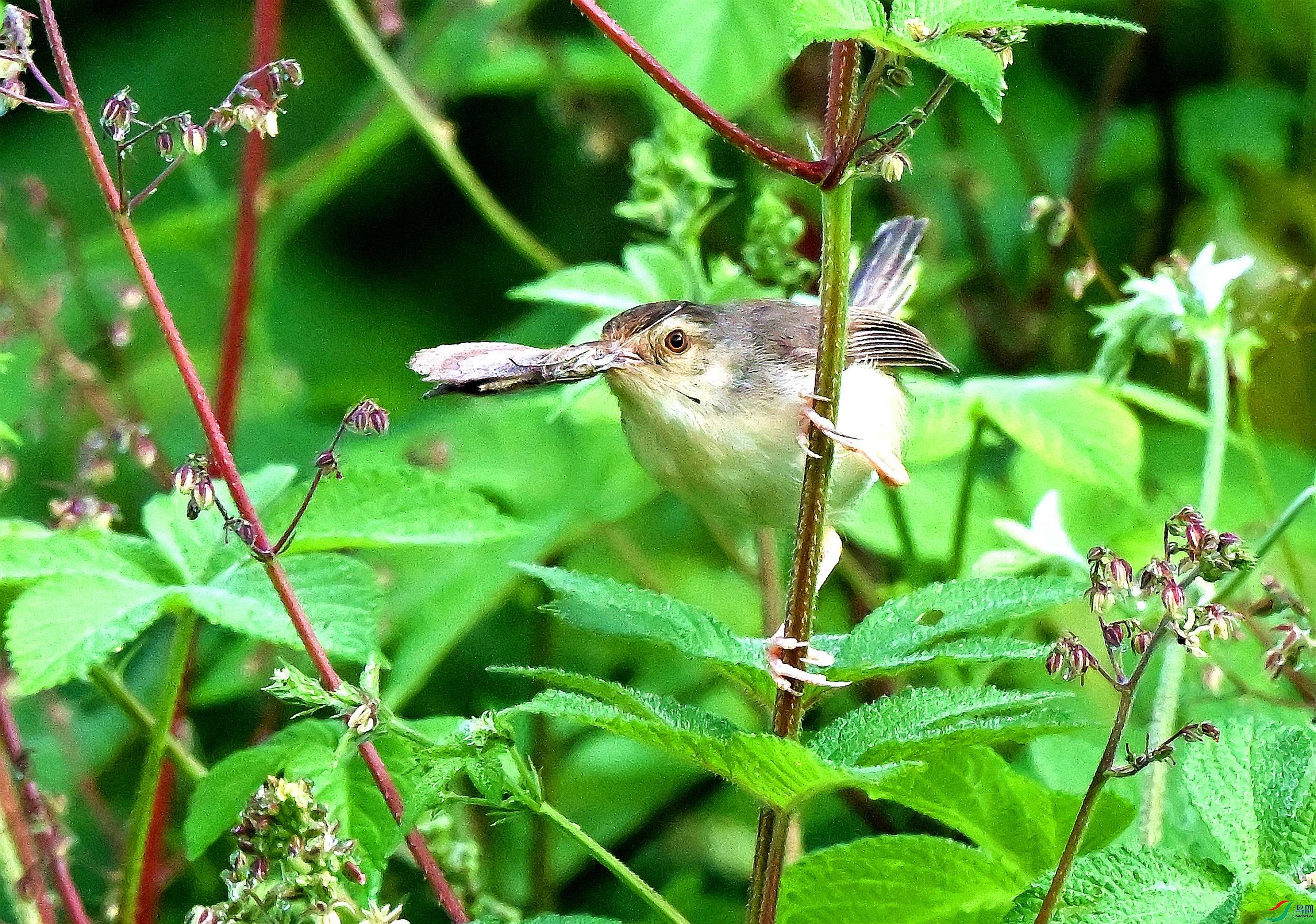 DSC_1243.JPG