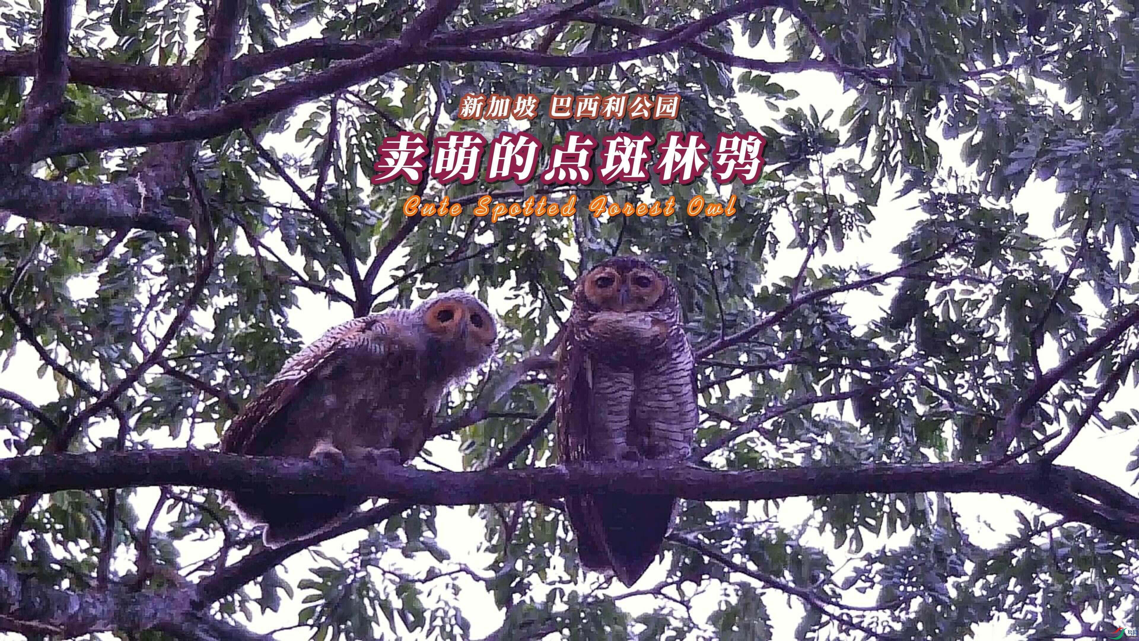 �¼��� ��������԰ ���ȵĵ�����^-����.jpeg