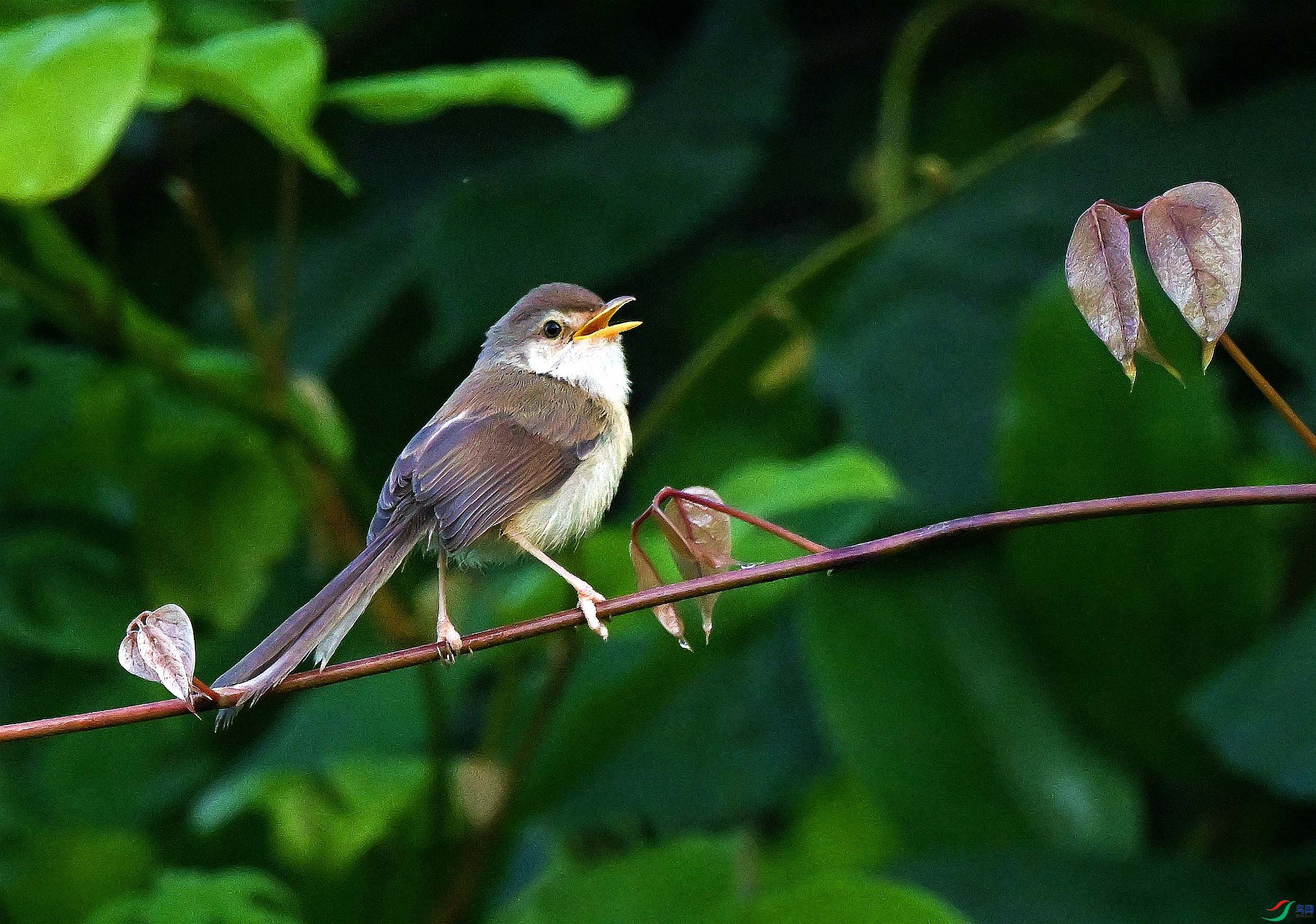 DSC_0496.JPG