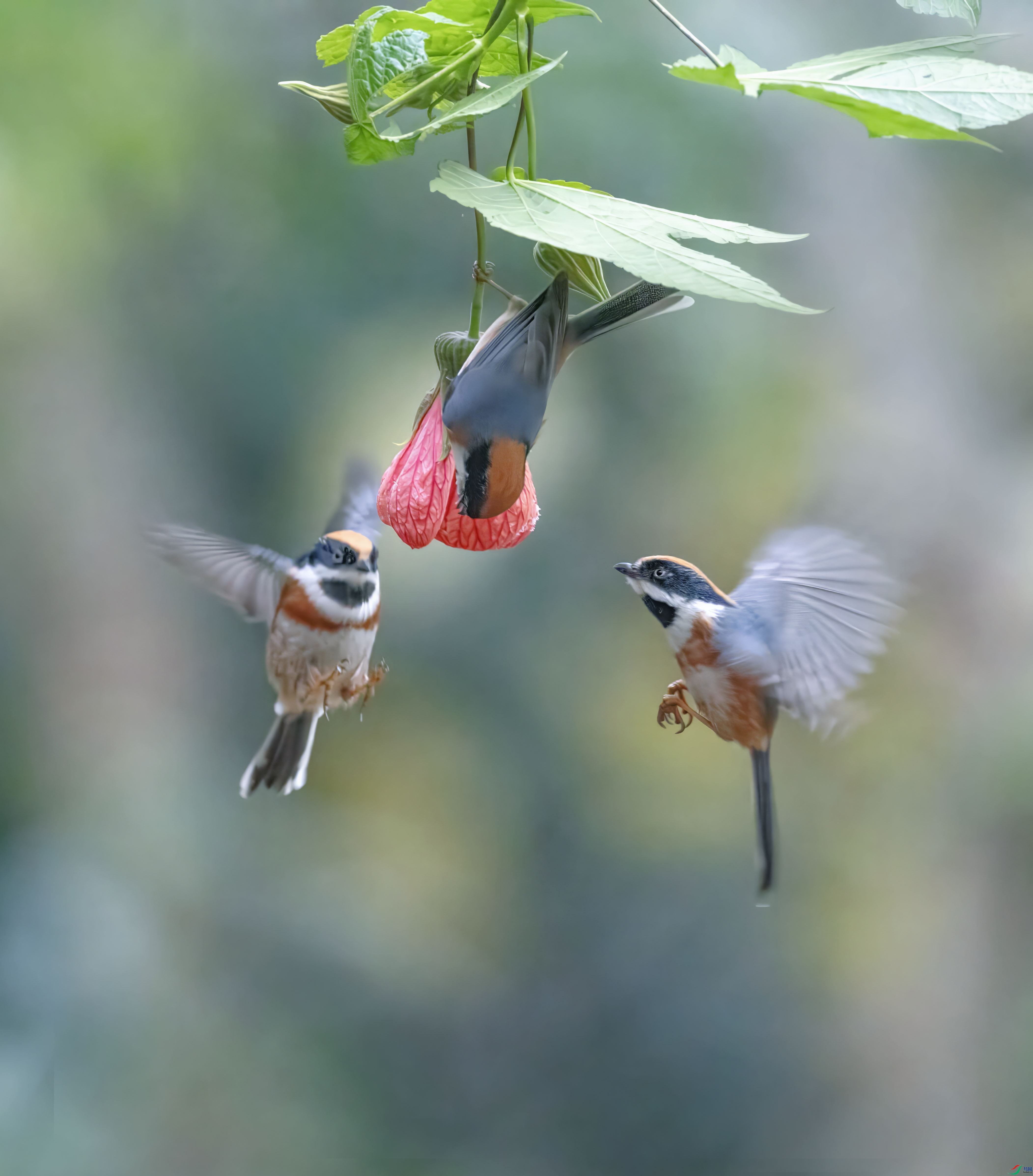 5N9A4050 ���� 2(1).jpg