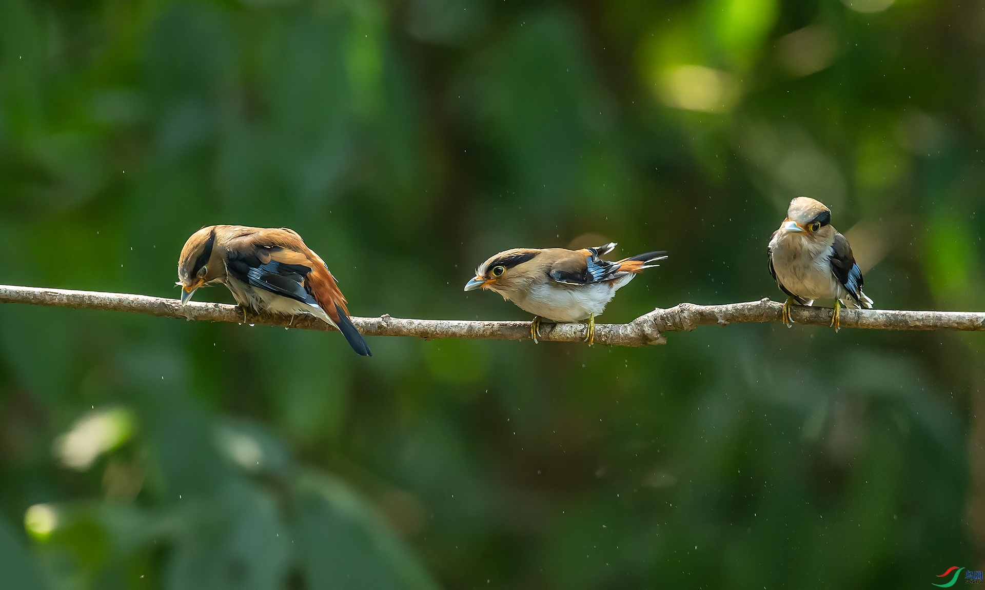 DSC_5728.jpg