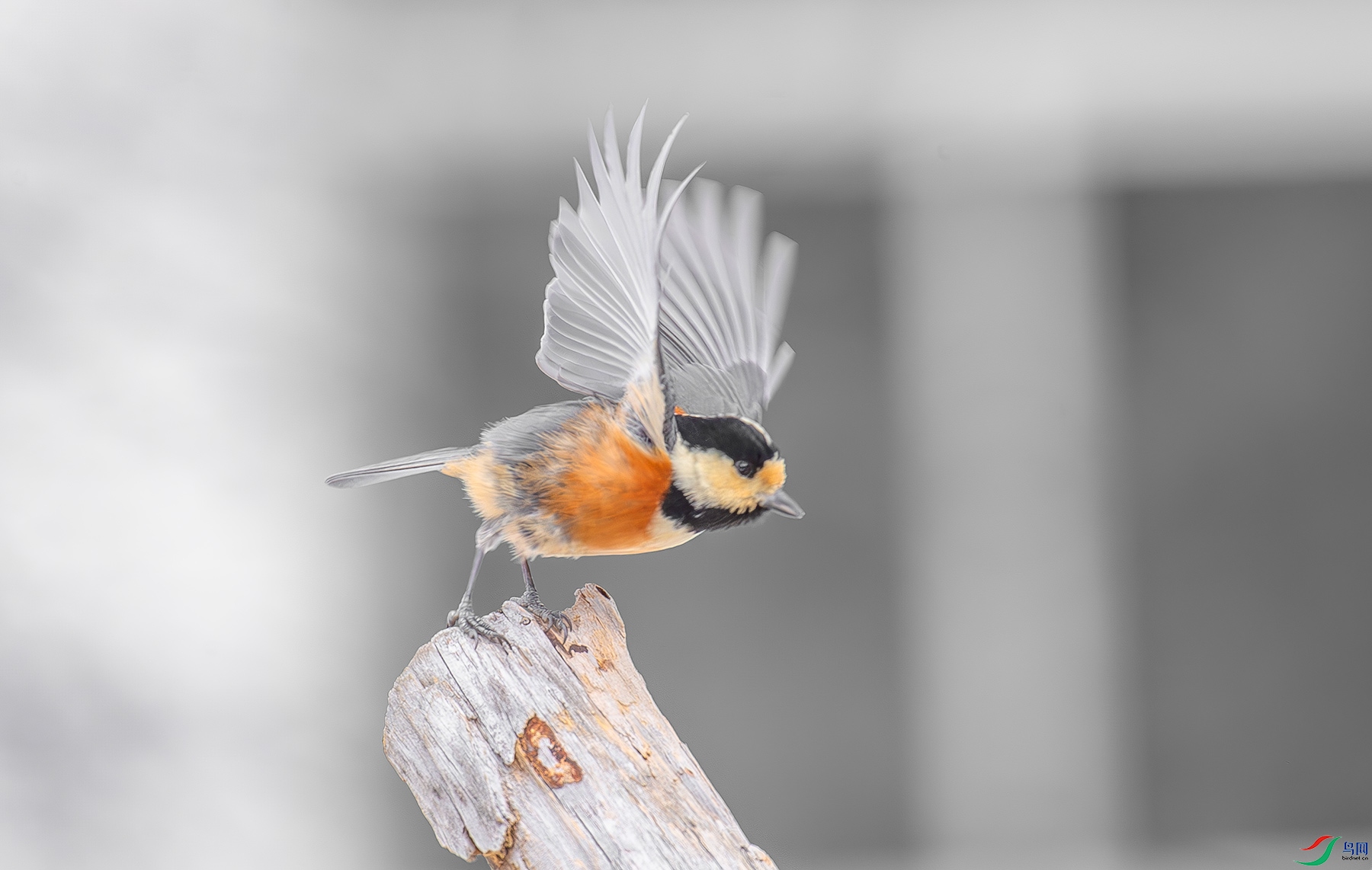DS1_4913.jpg