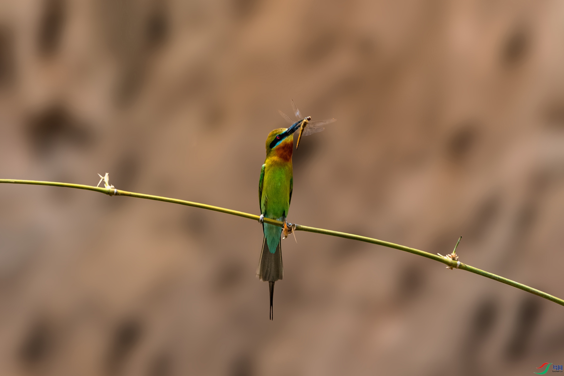 _AUU4214 �ȴ�(25.5.11).jpg