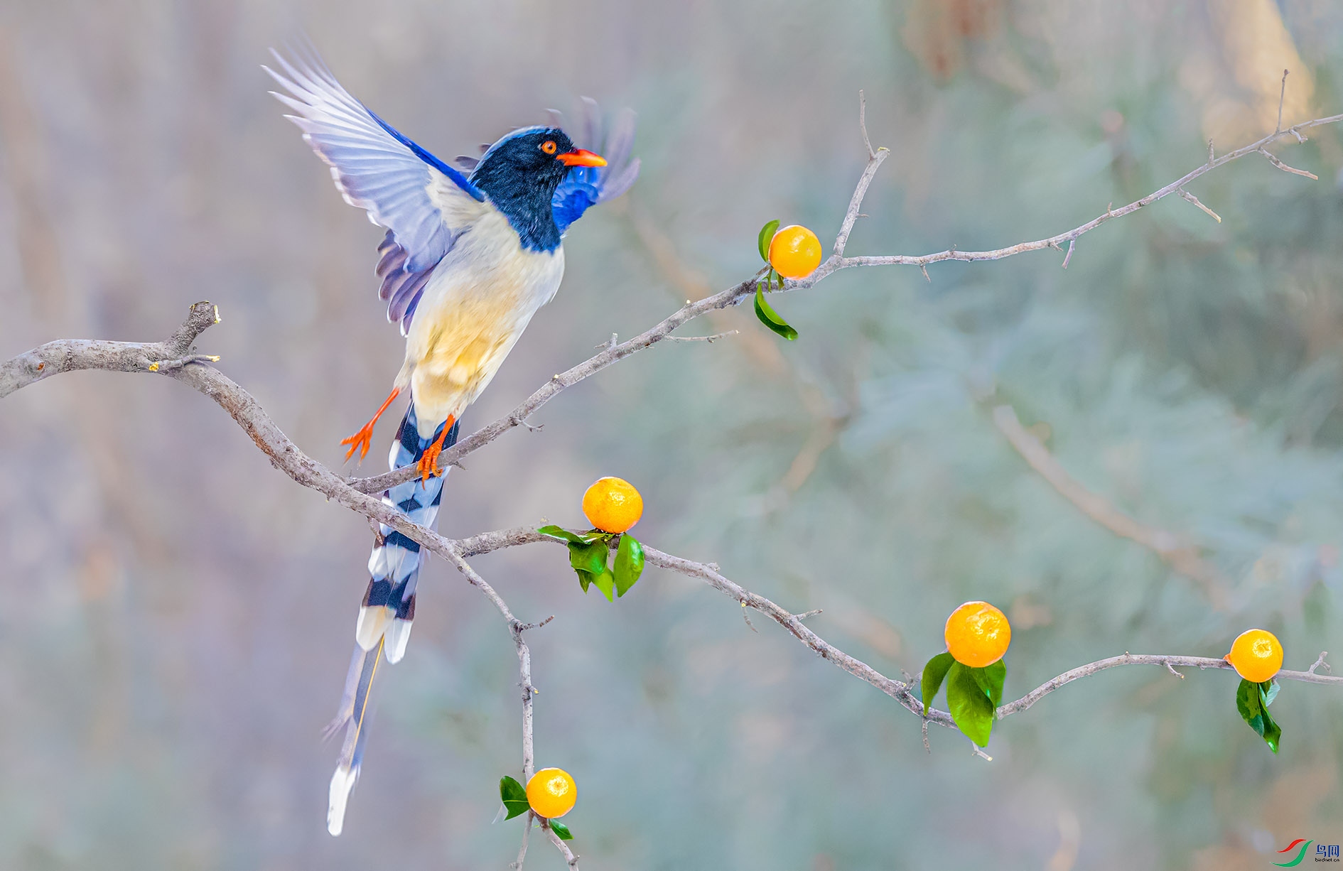 DSC_2030_��ͼ�� ����.jpg