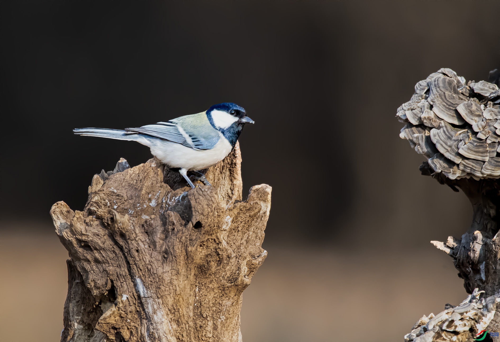 DSC_3308_��ͼ�� ����.jpg