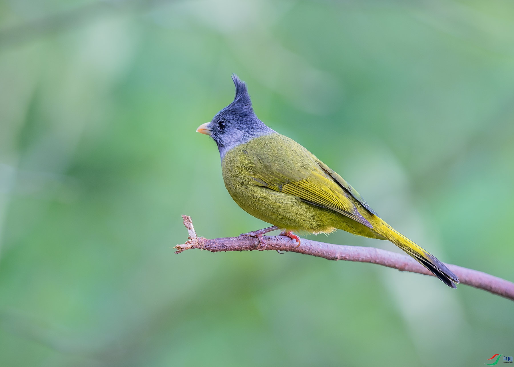 DSC_7782.jpg