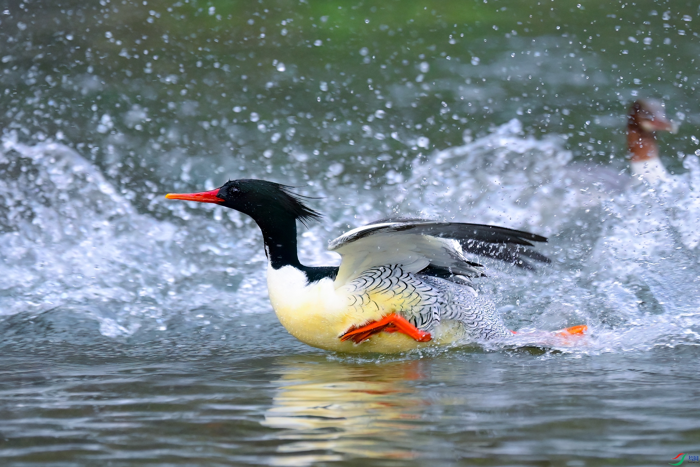 _DSC6982x.jpg