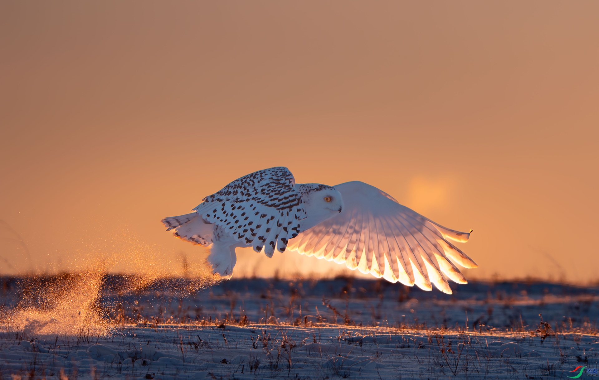 _DSC4500 ����.jpg