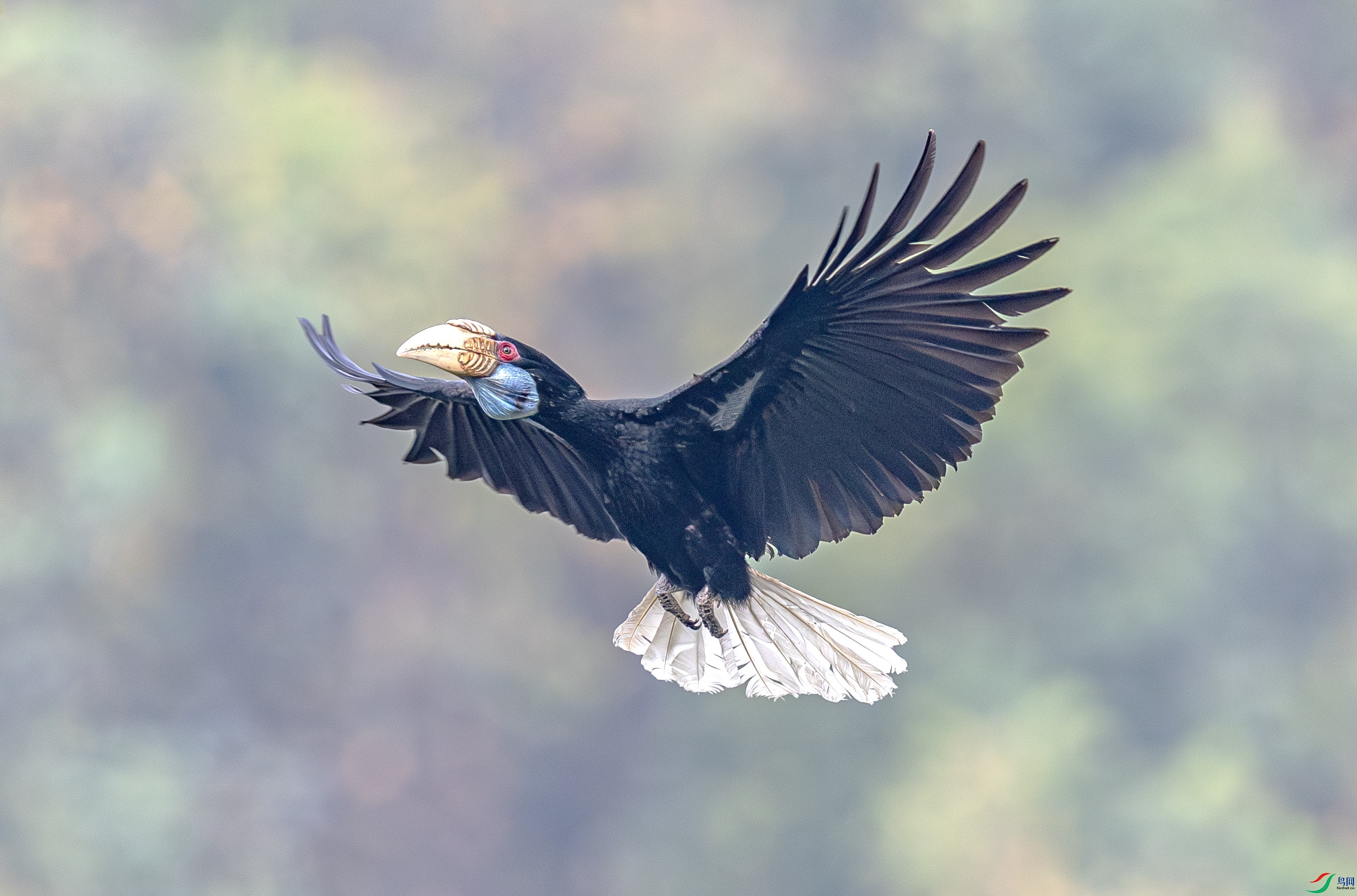 B85I0256-����ǿ-NR ����.jpg