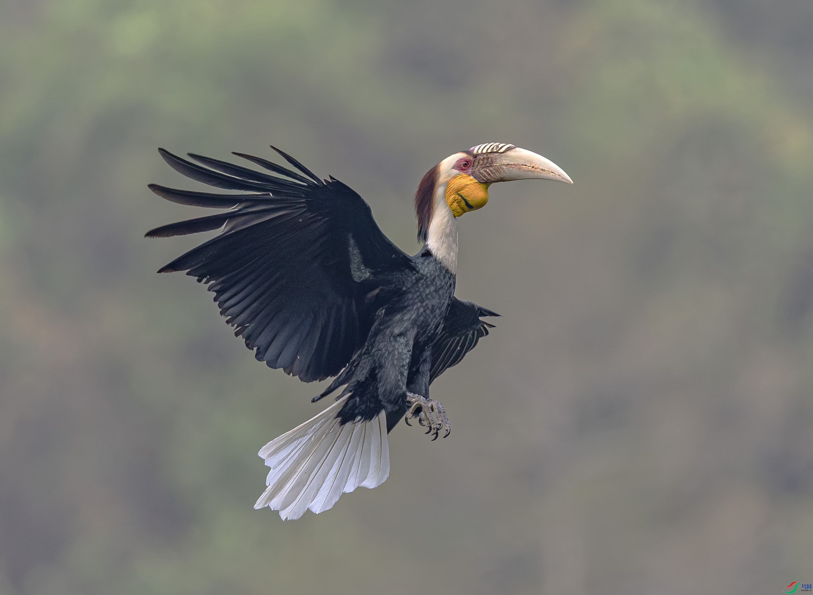 B85I0198-����ǿ-NR ����.jpg