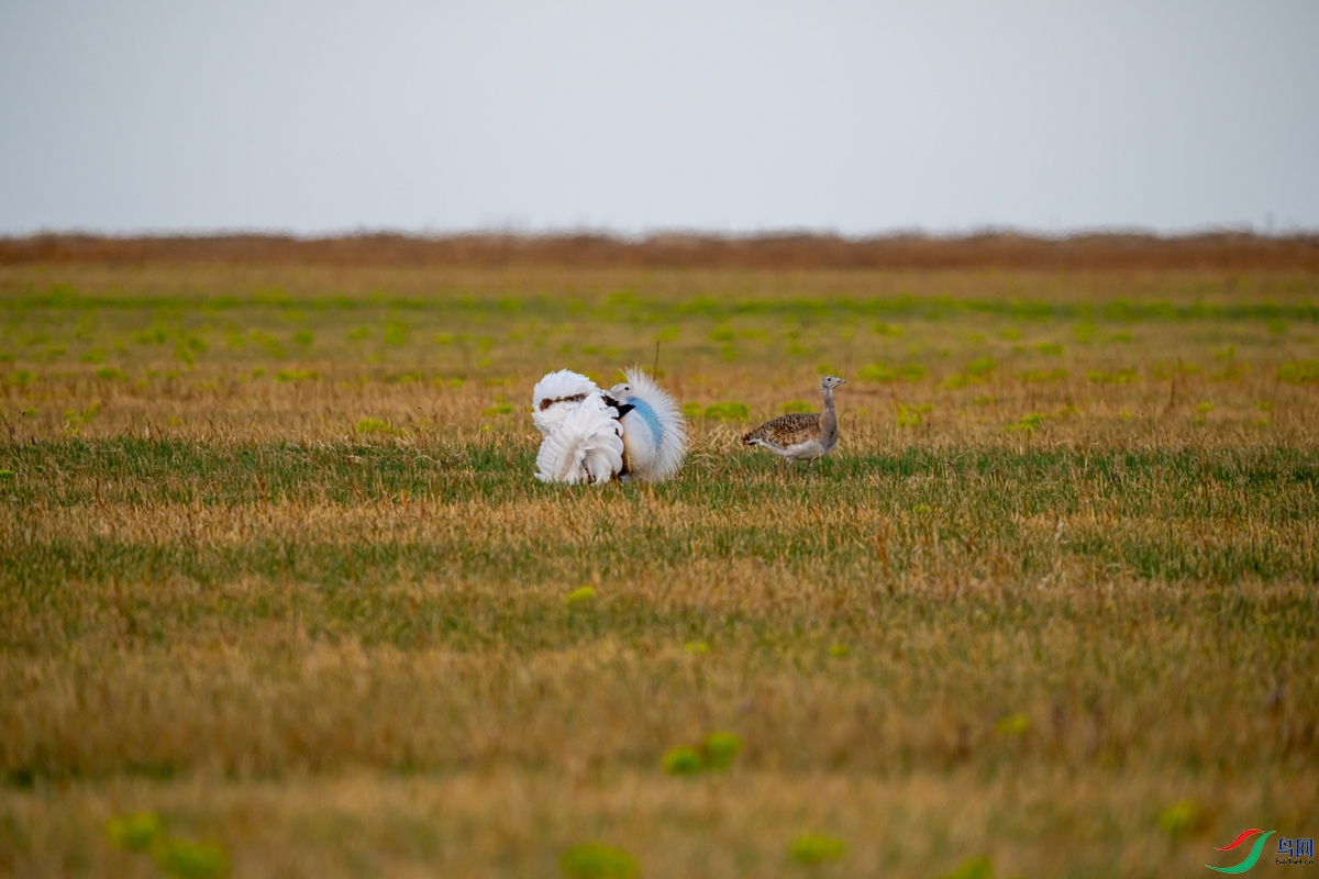 DSC01112-1.jpg
