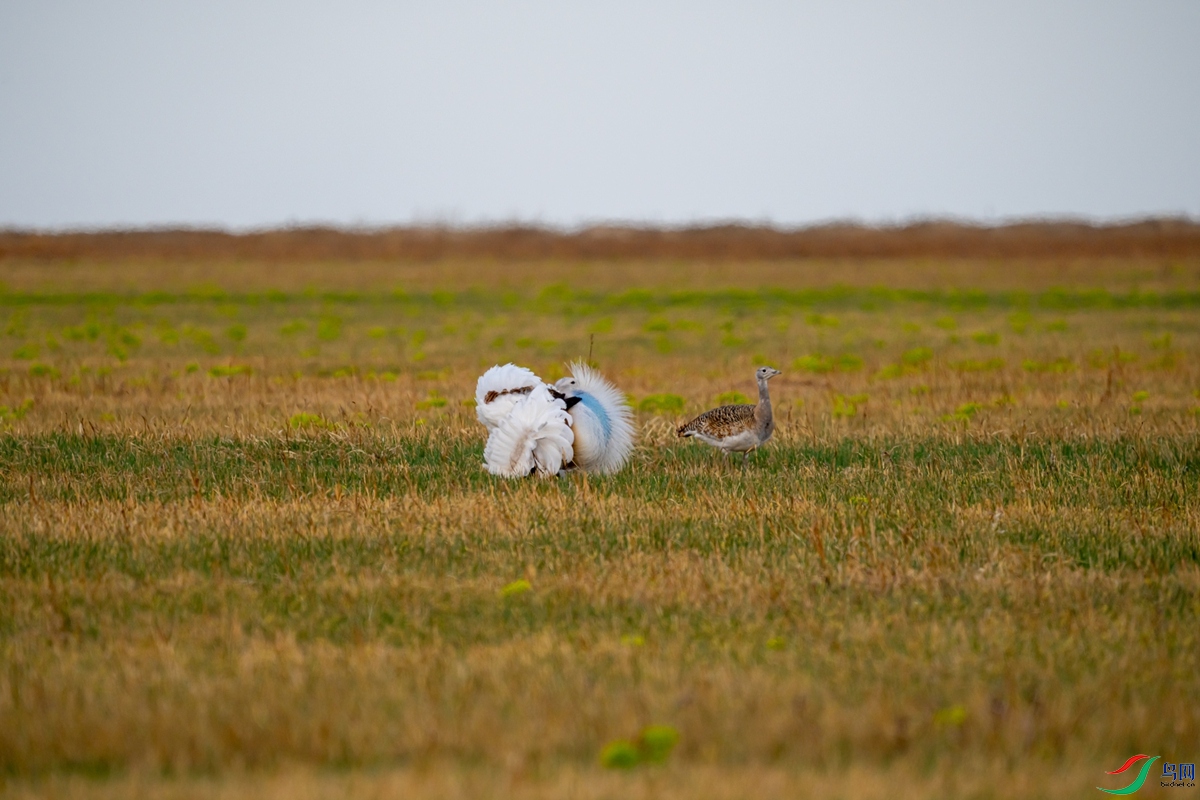 DSC01113-1.jpg