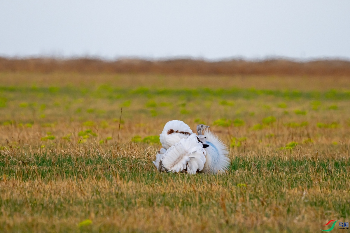 DSC01123-1.jpg