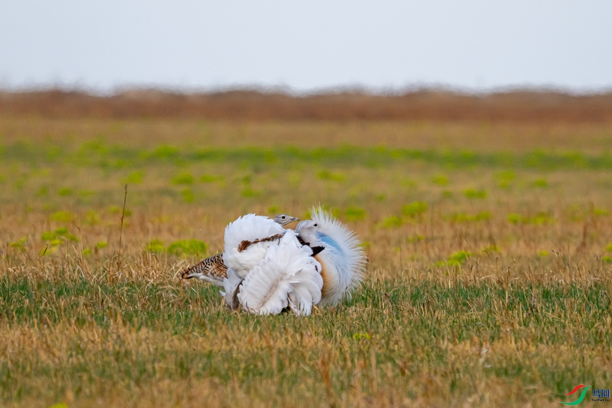 DSC01128-1.jpg