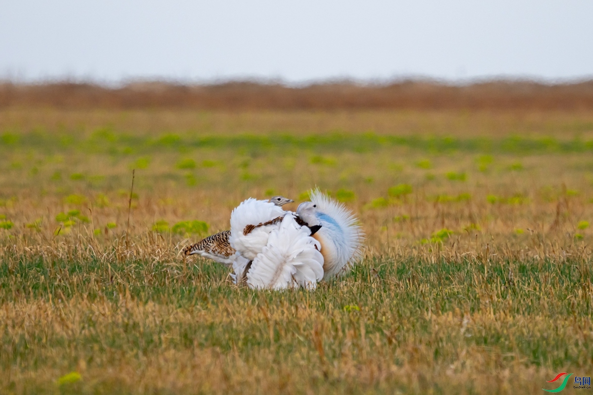 DSC01129-1.jpg