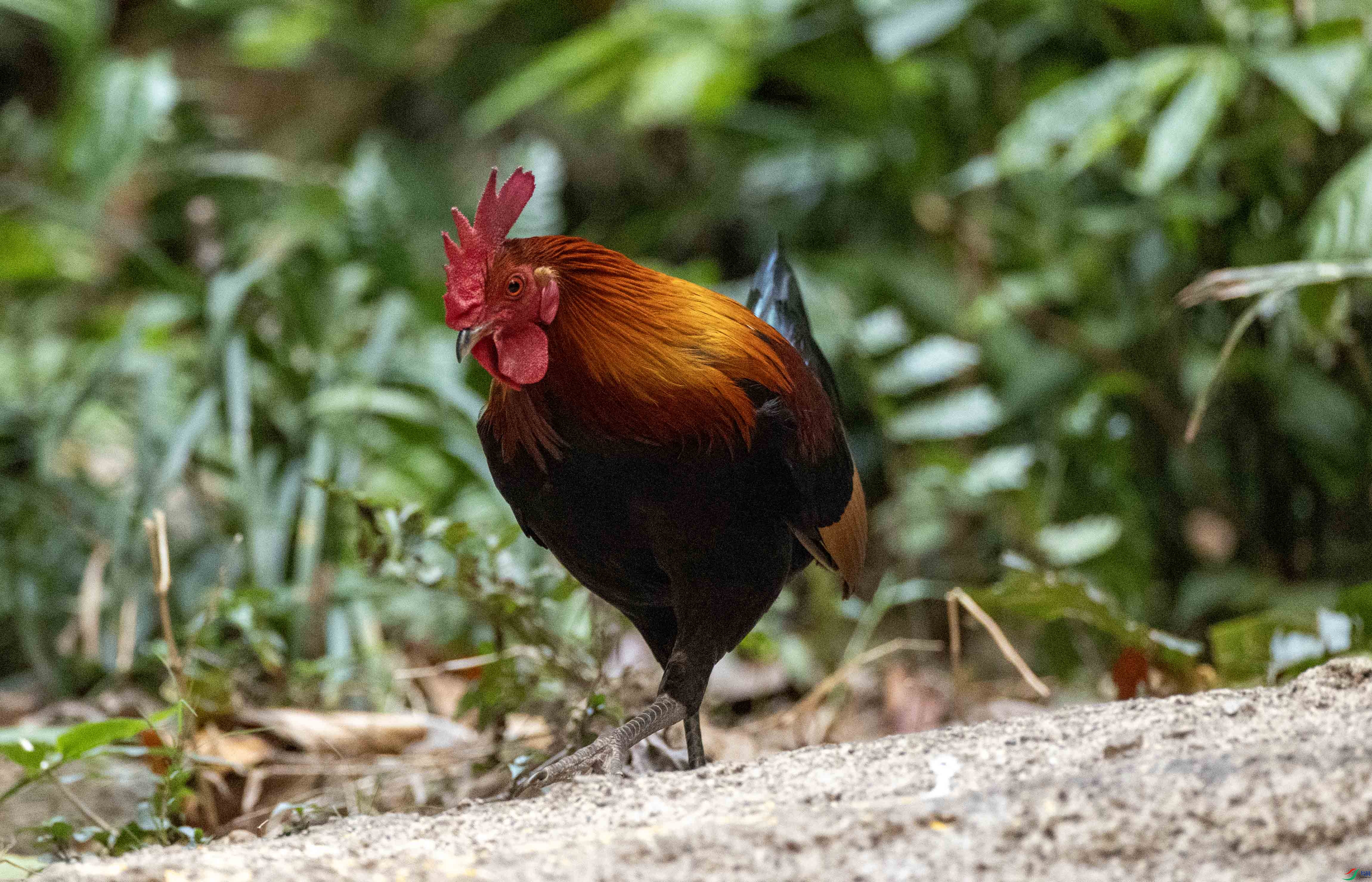 1-xt4L2A8436 ����.jpg