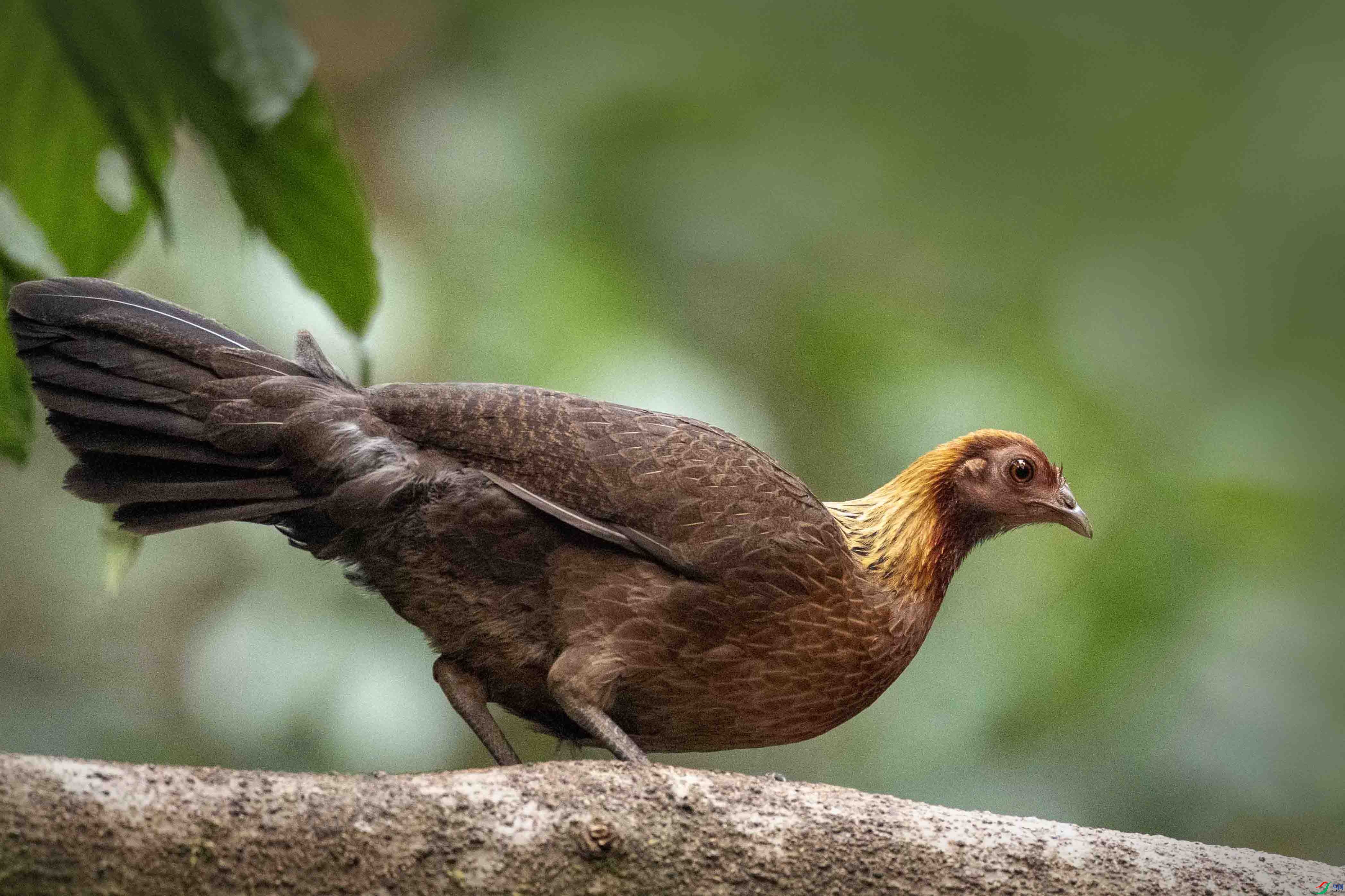 1-xt4L2A8530 ���� 2.jpg