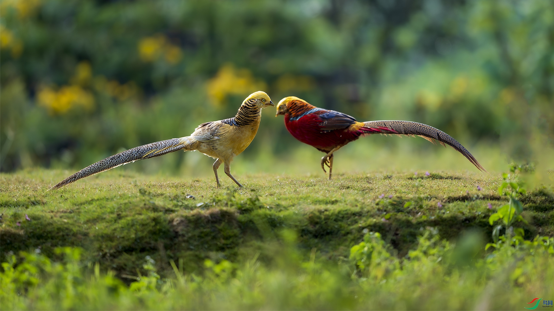 _DSC2201 ���� 2.jpg