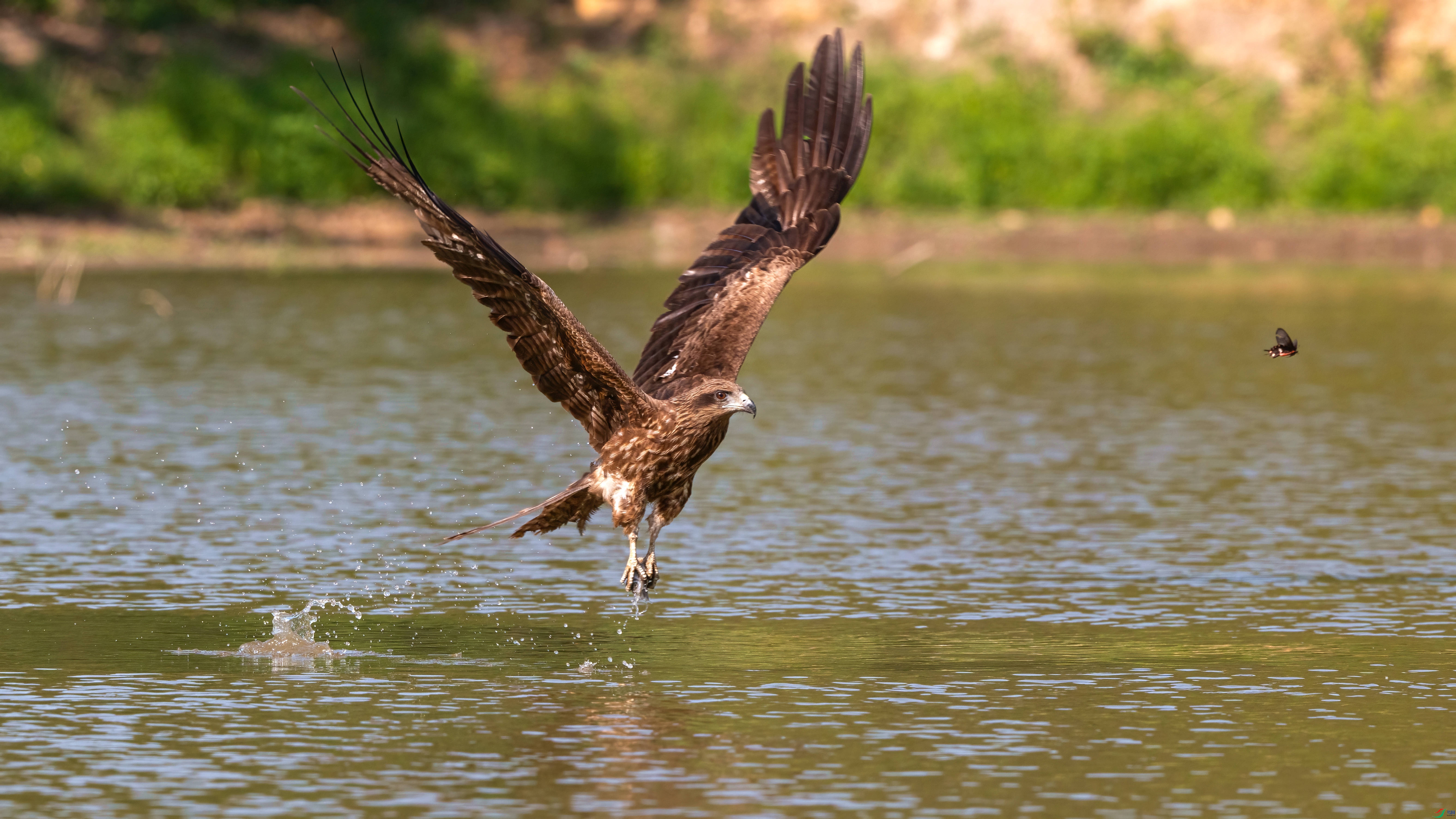 DSC_3786.jpg