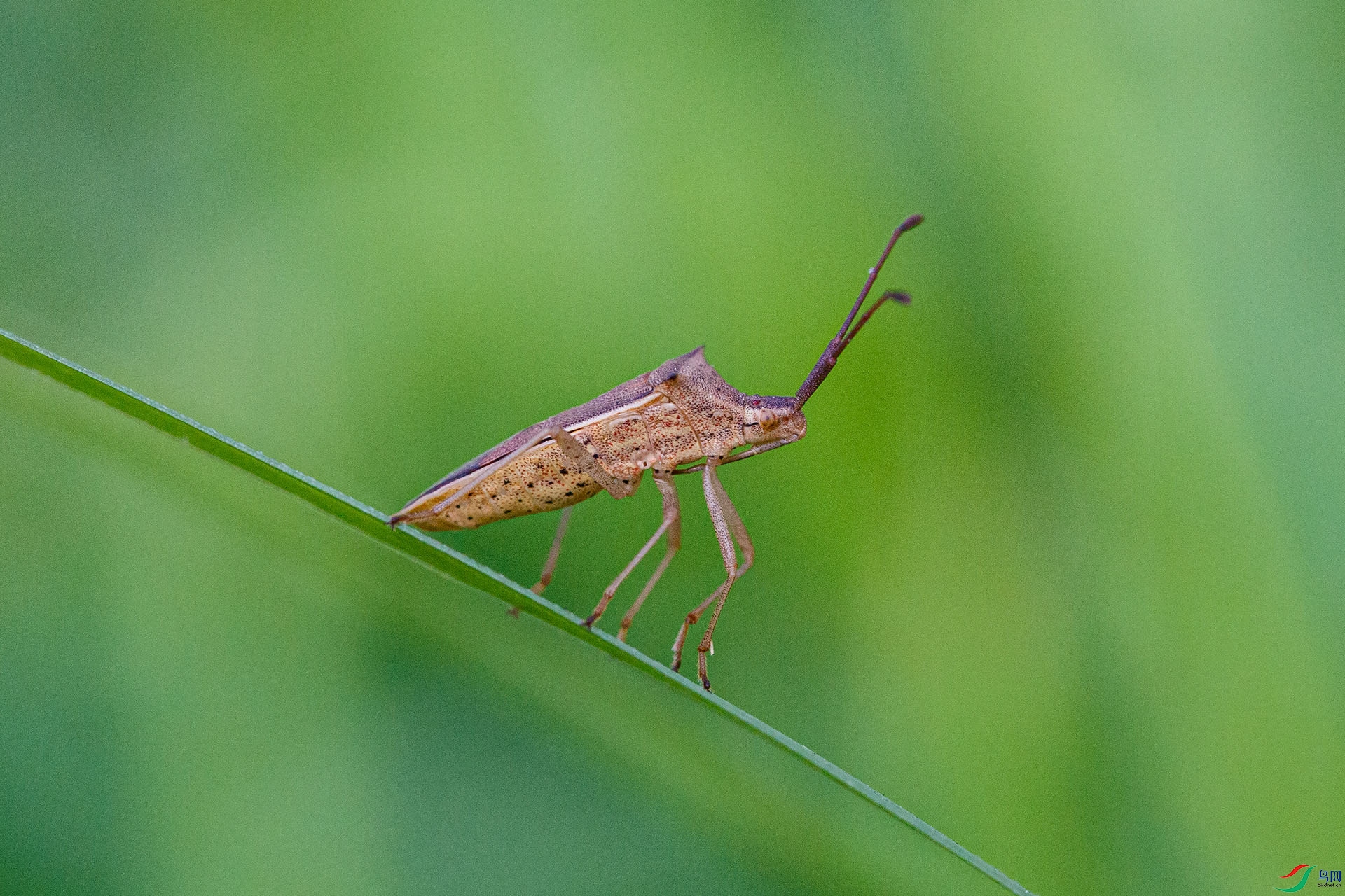 CU8B9785.jpg