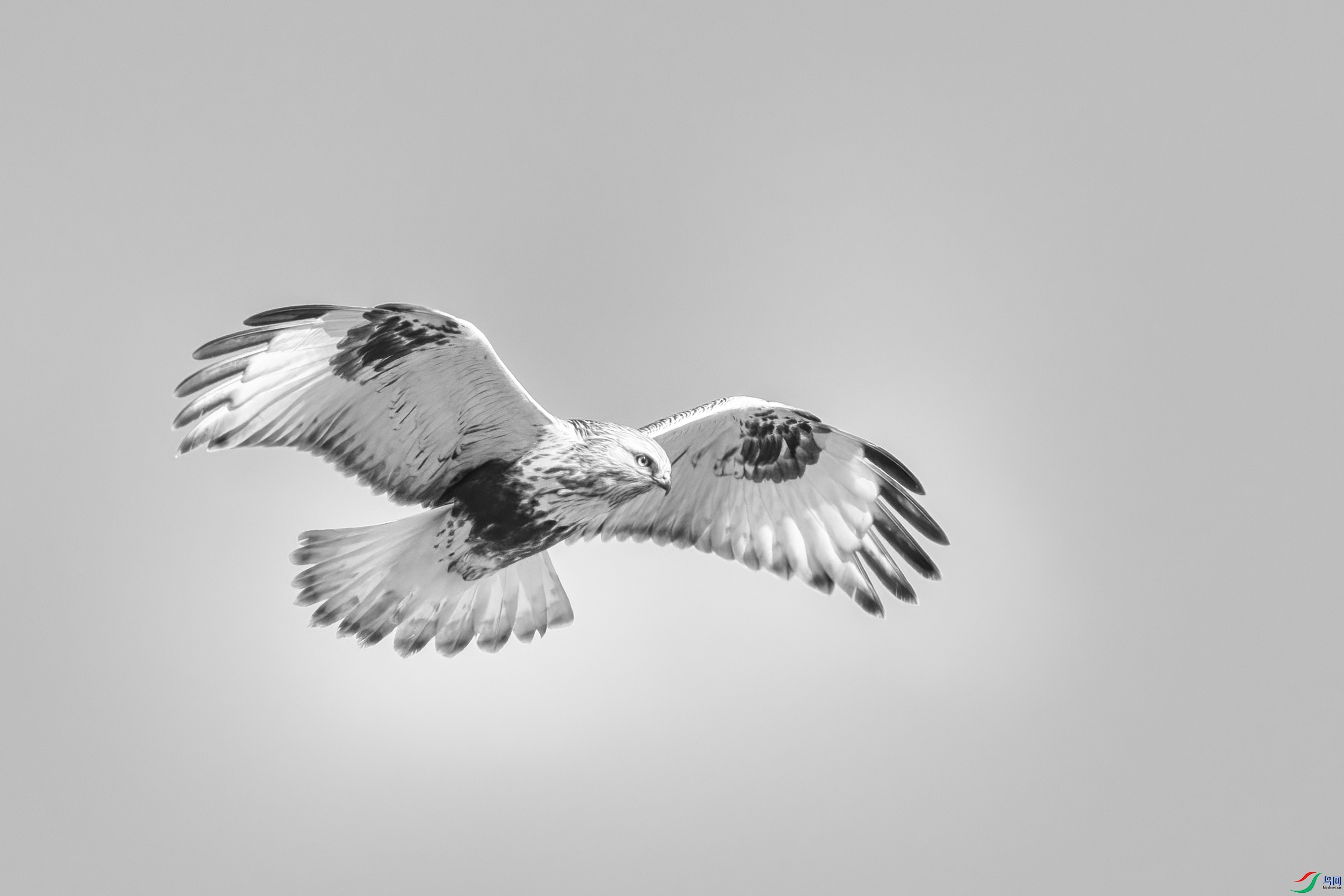 DSC07691 ����.jpg