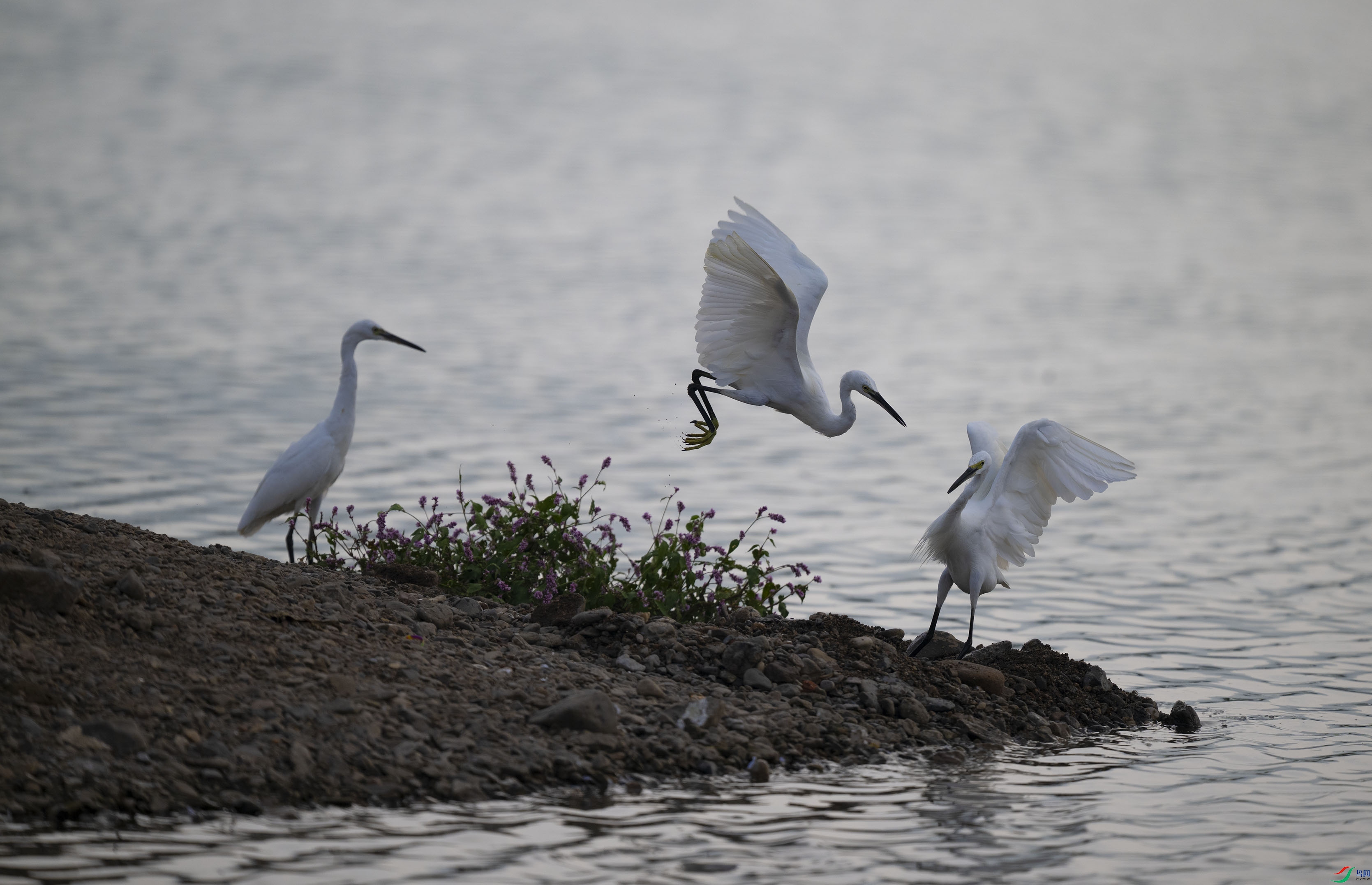 DSC_7024.jpg
