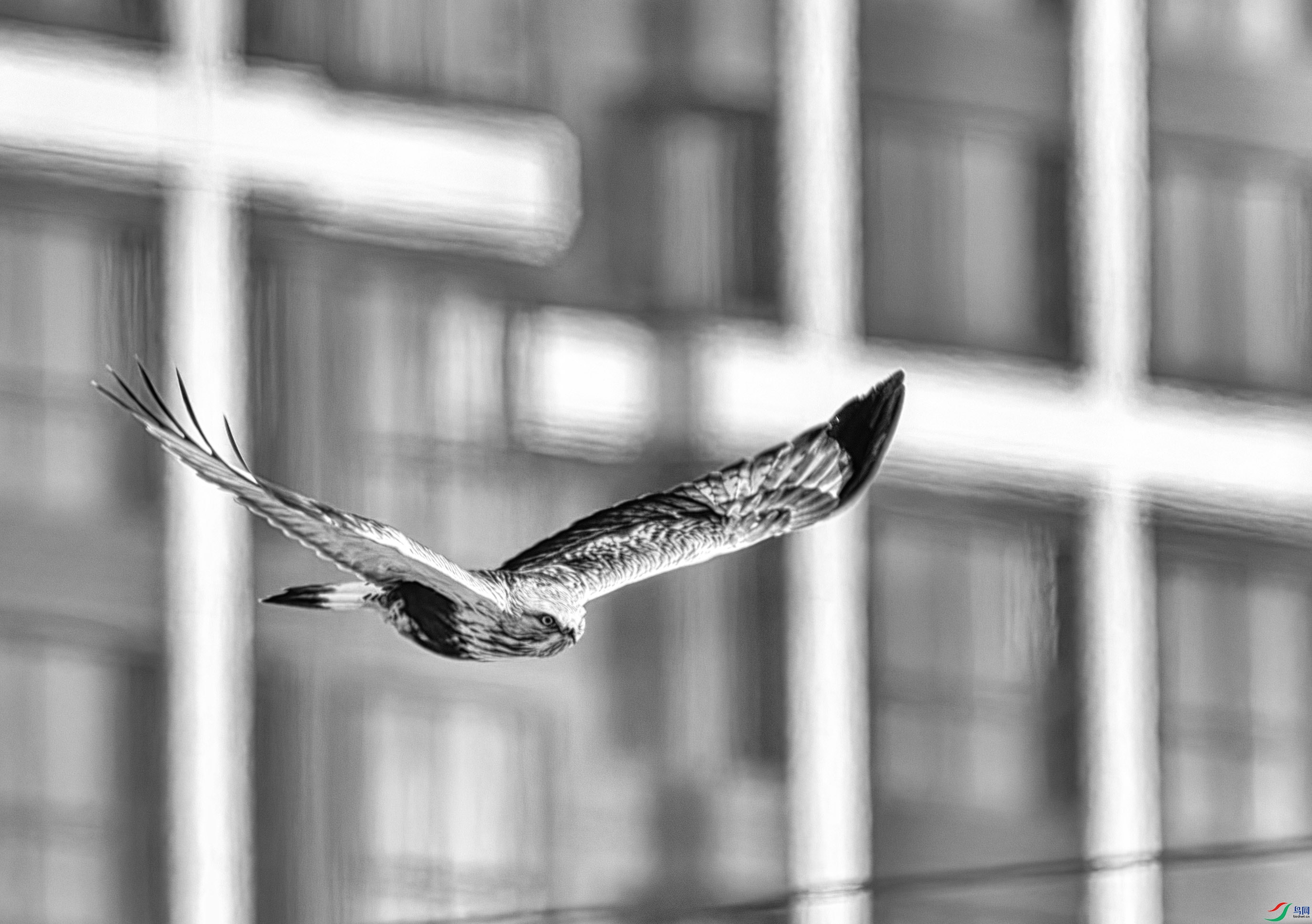 DSC07760 ����.jpg